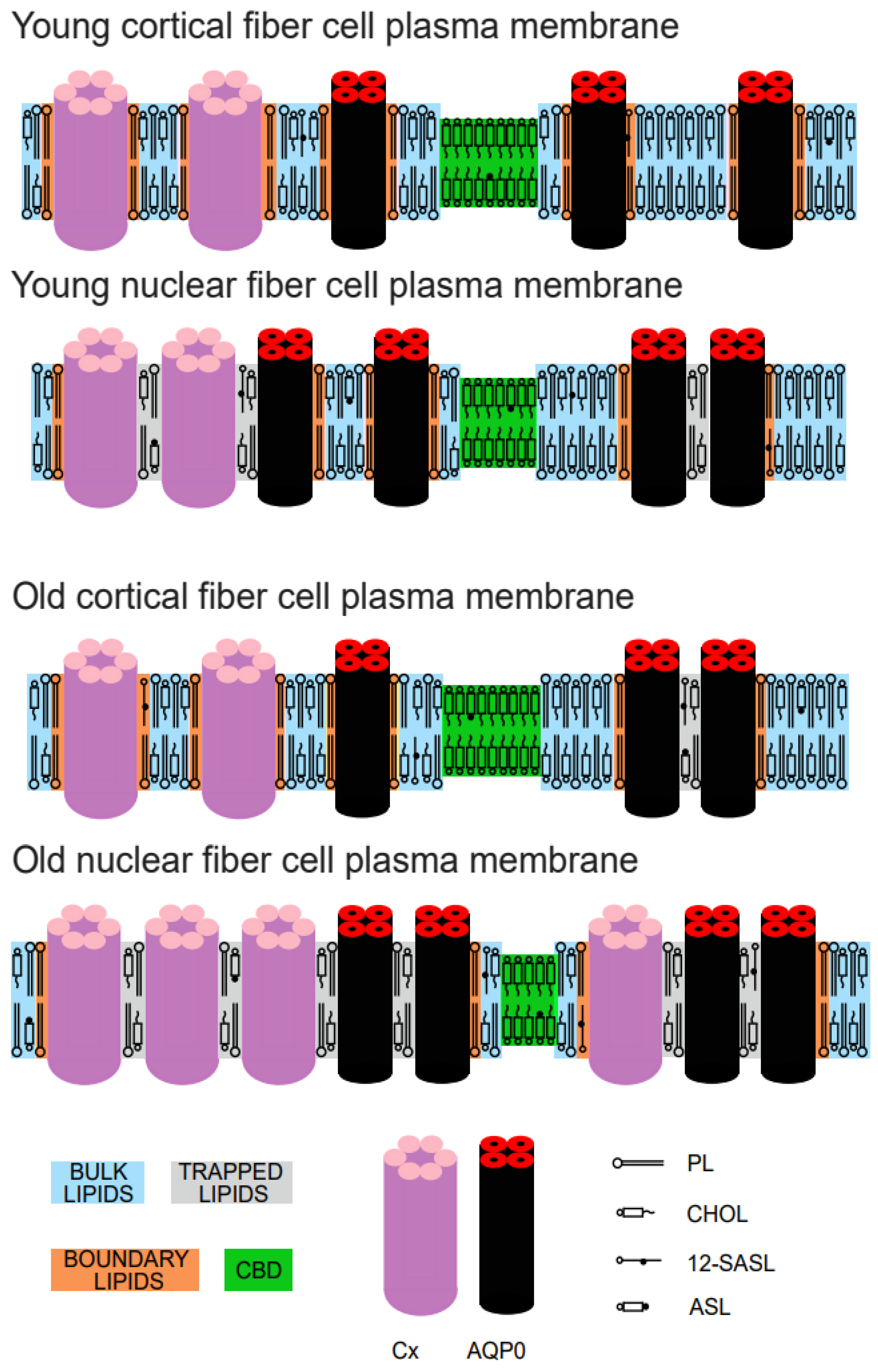 Membranes 13 00189 g006 Membranes 13 00189 g006