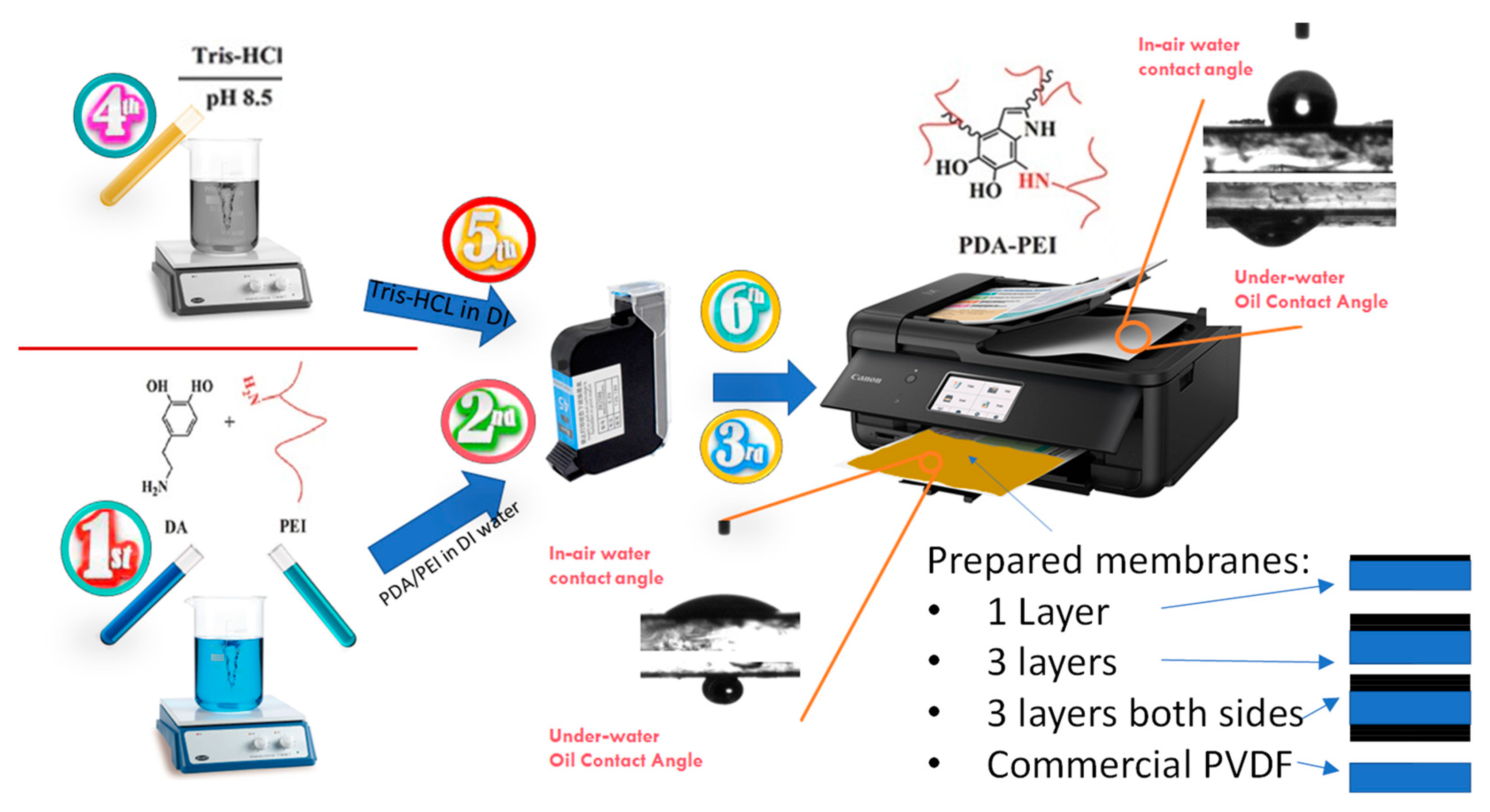 Membranes 13 00191 g001 550