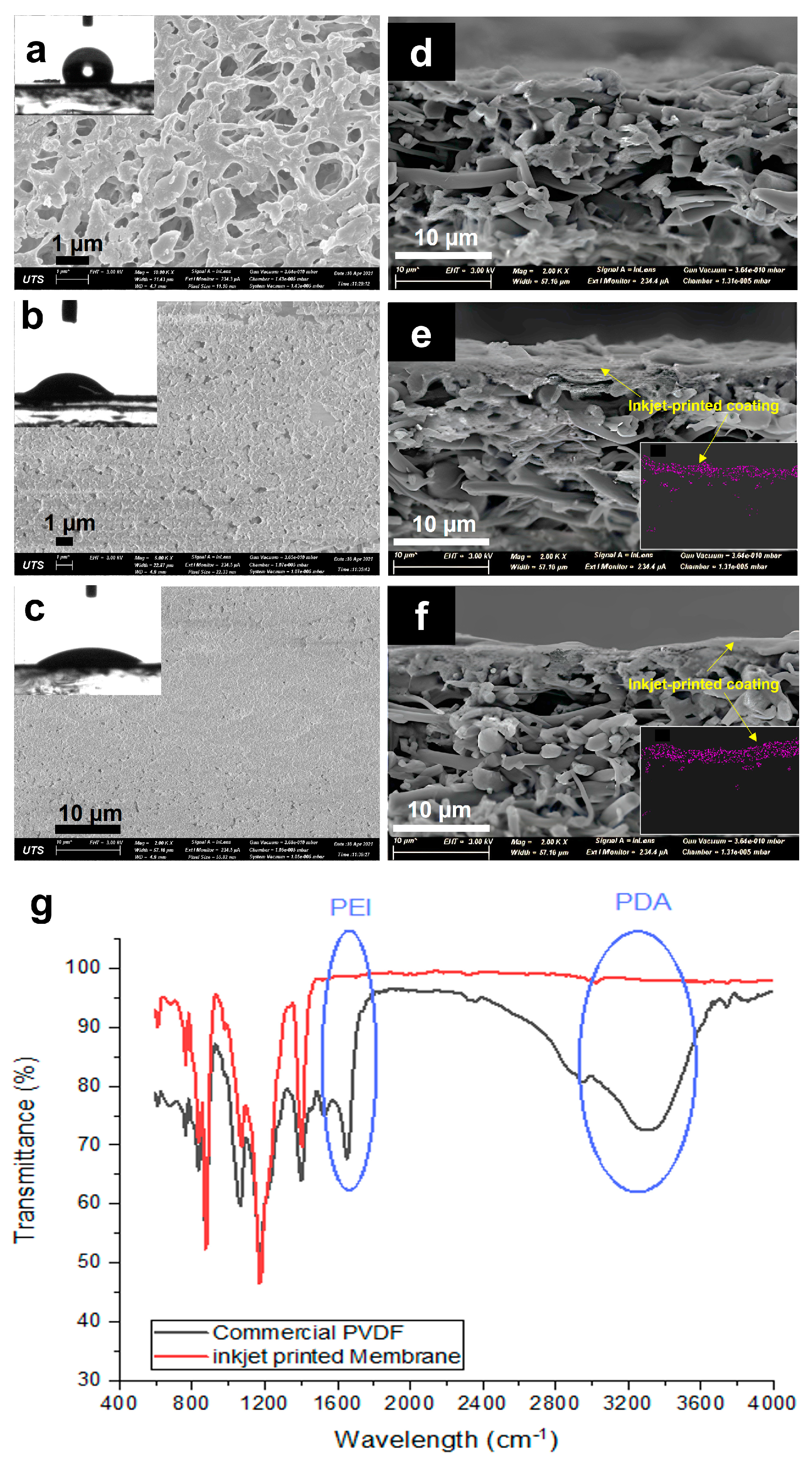 Membranes 13 00191 g003 550