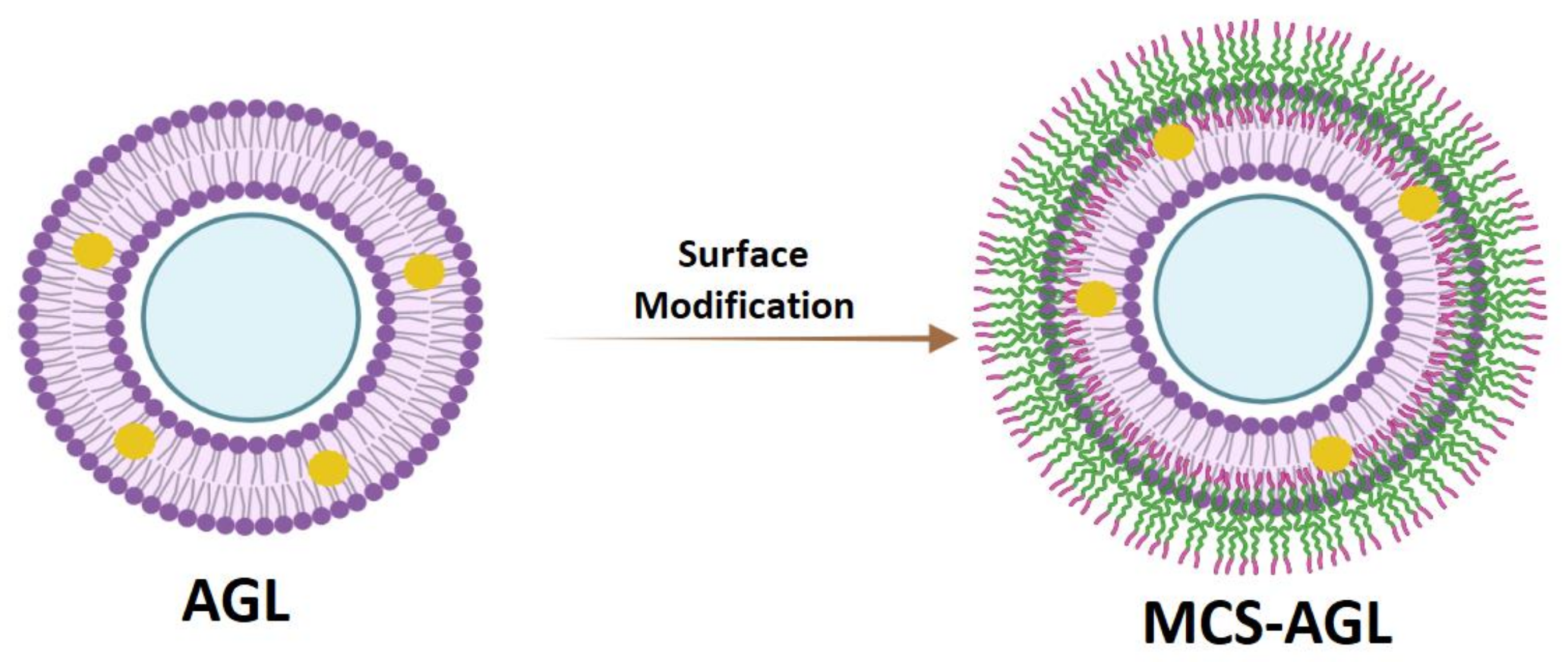 Membranes 13 00193 g001 550