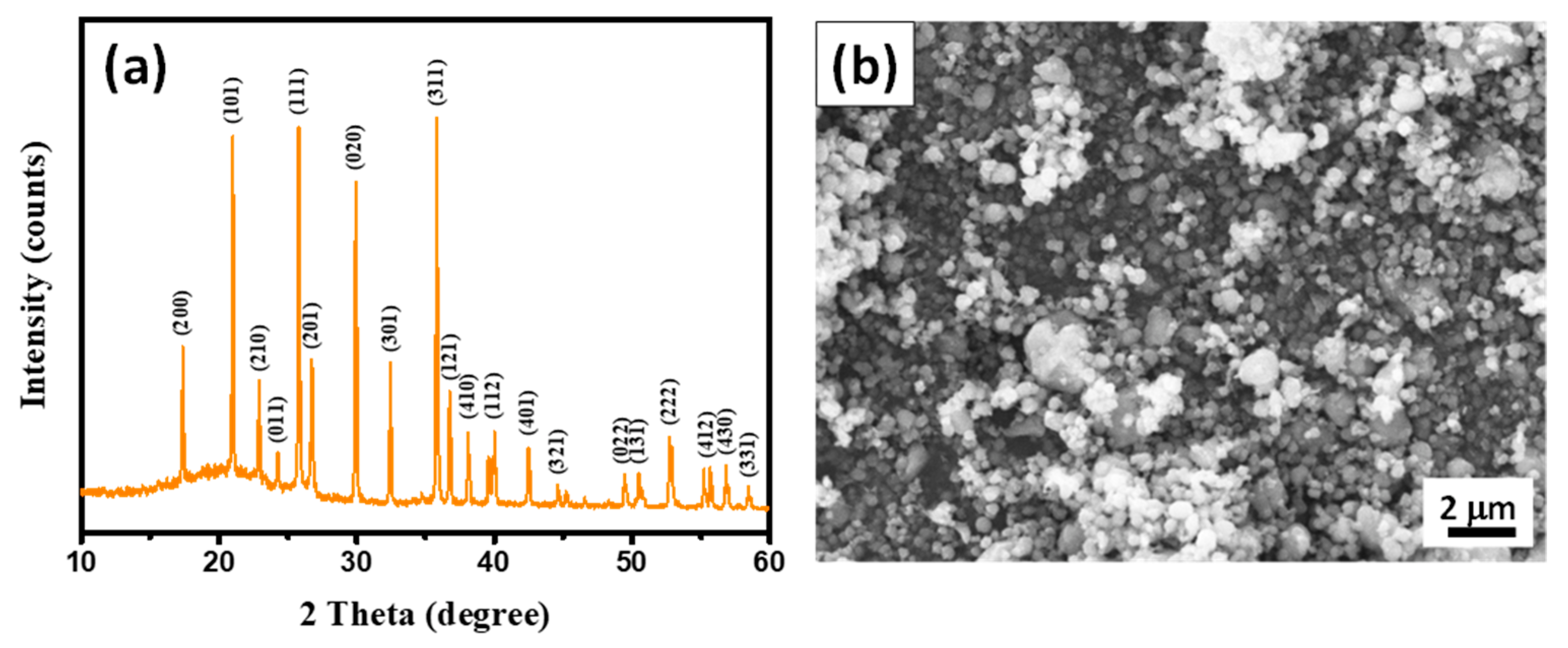 Membranes 13 00201 g001 550