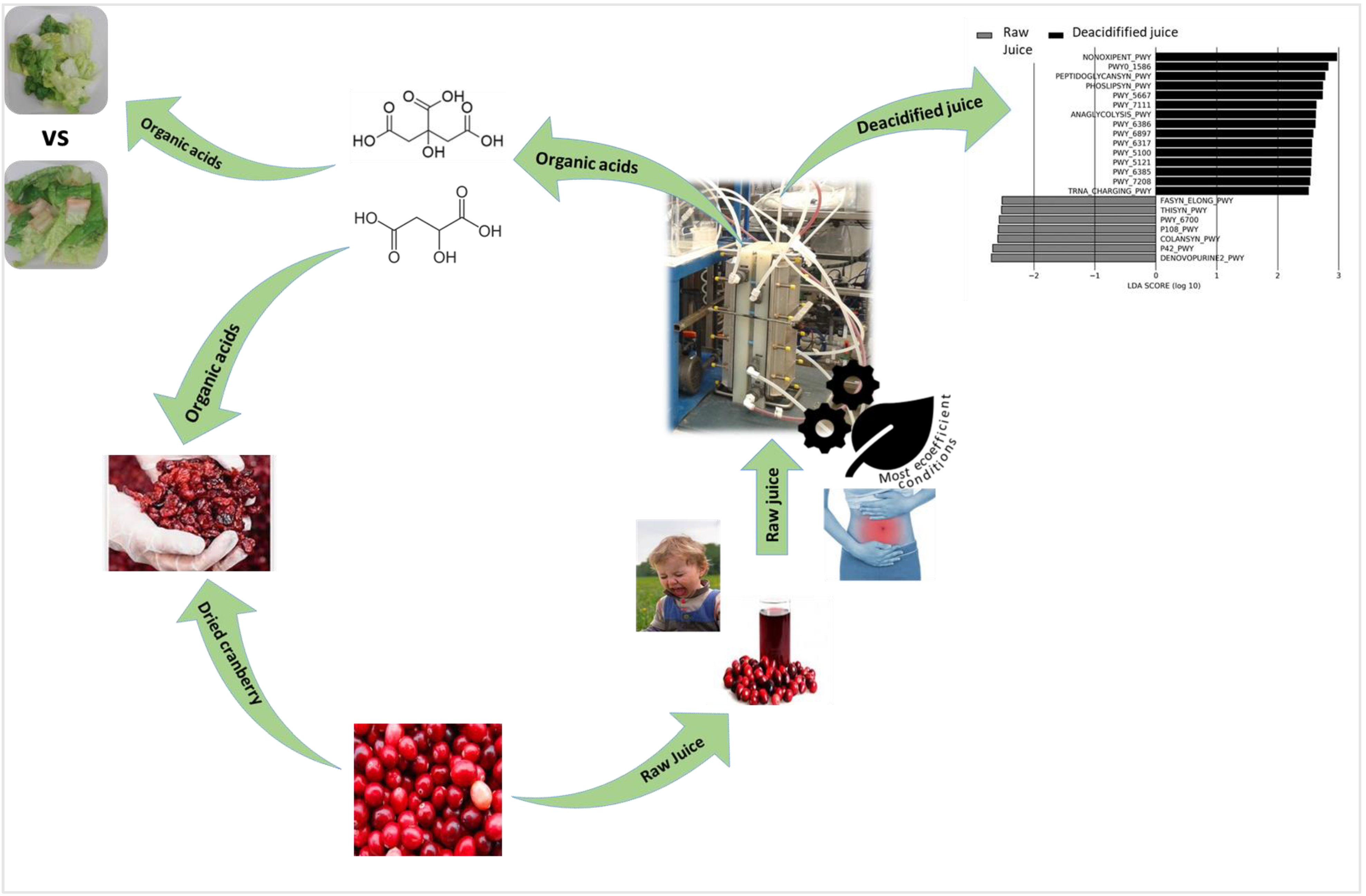 Membranes 13 00205 g009 Membranes 13 00205 g009