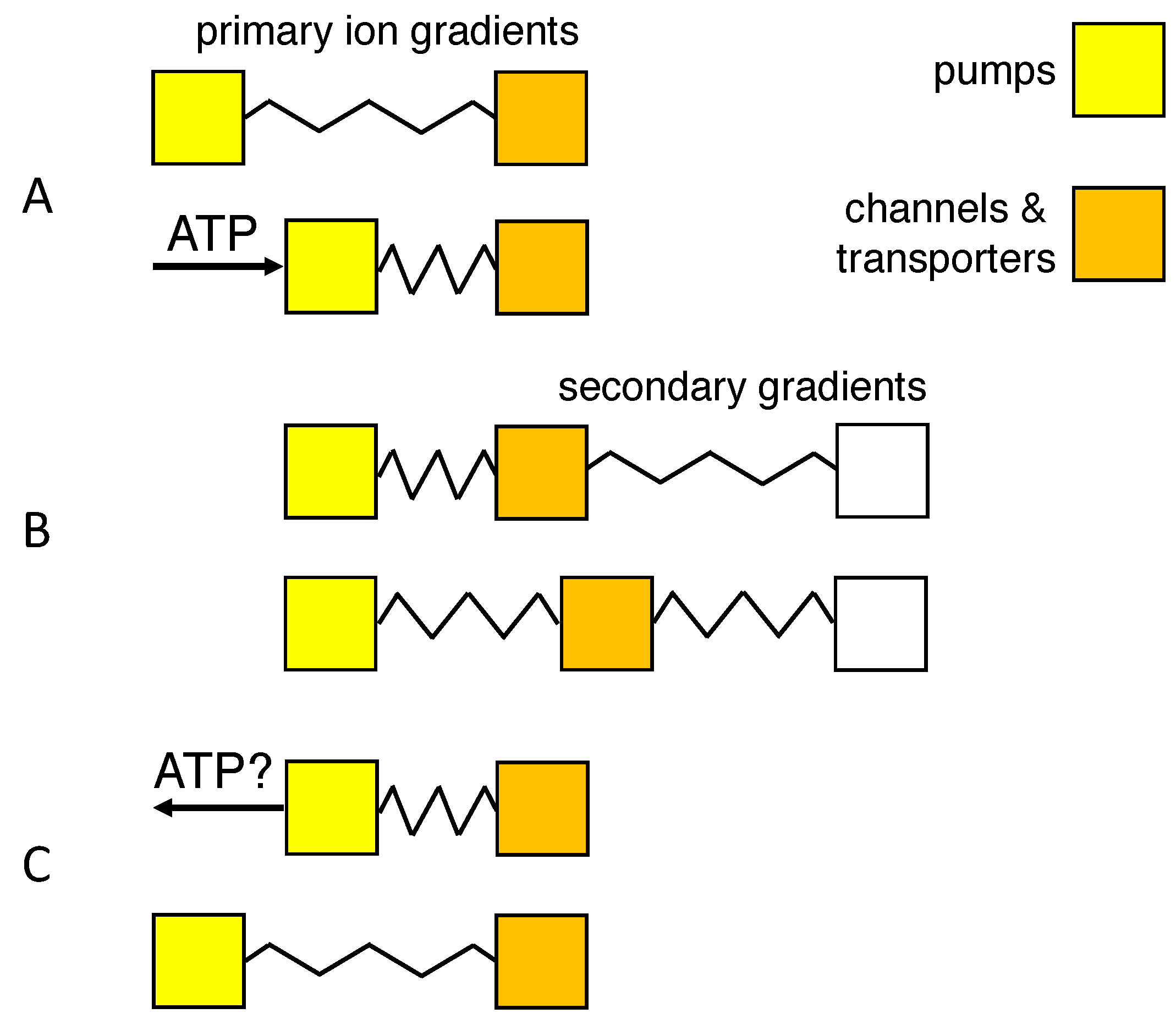 Membranes 13 00206 g005 Membranes 13 00206 g005