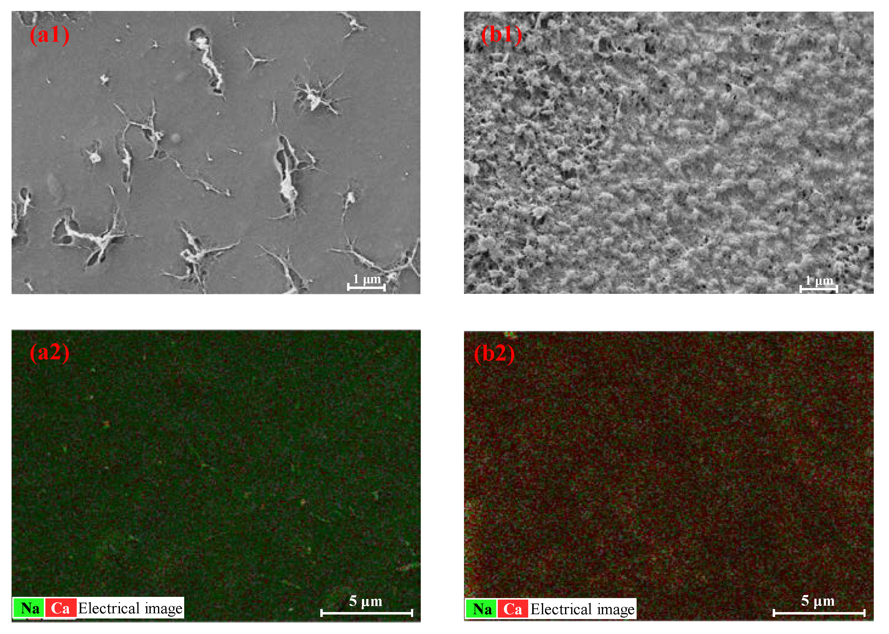 Membranes 13 00207 g004