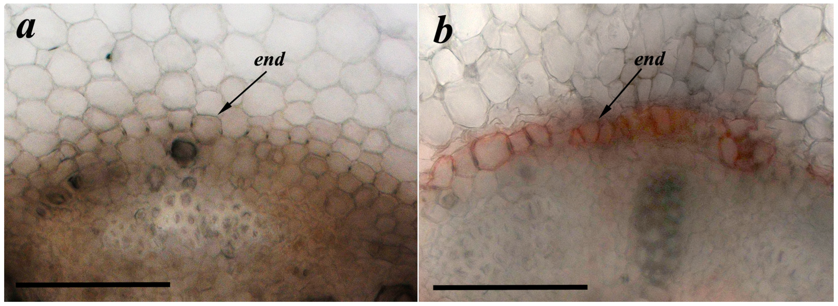 Membranes 13 00208 g003 Membranes 13 00208 g003
