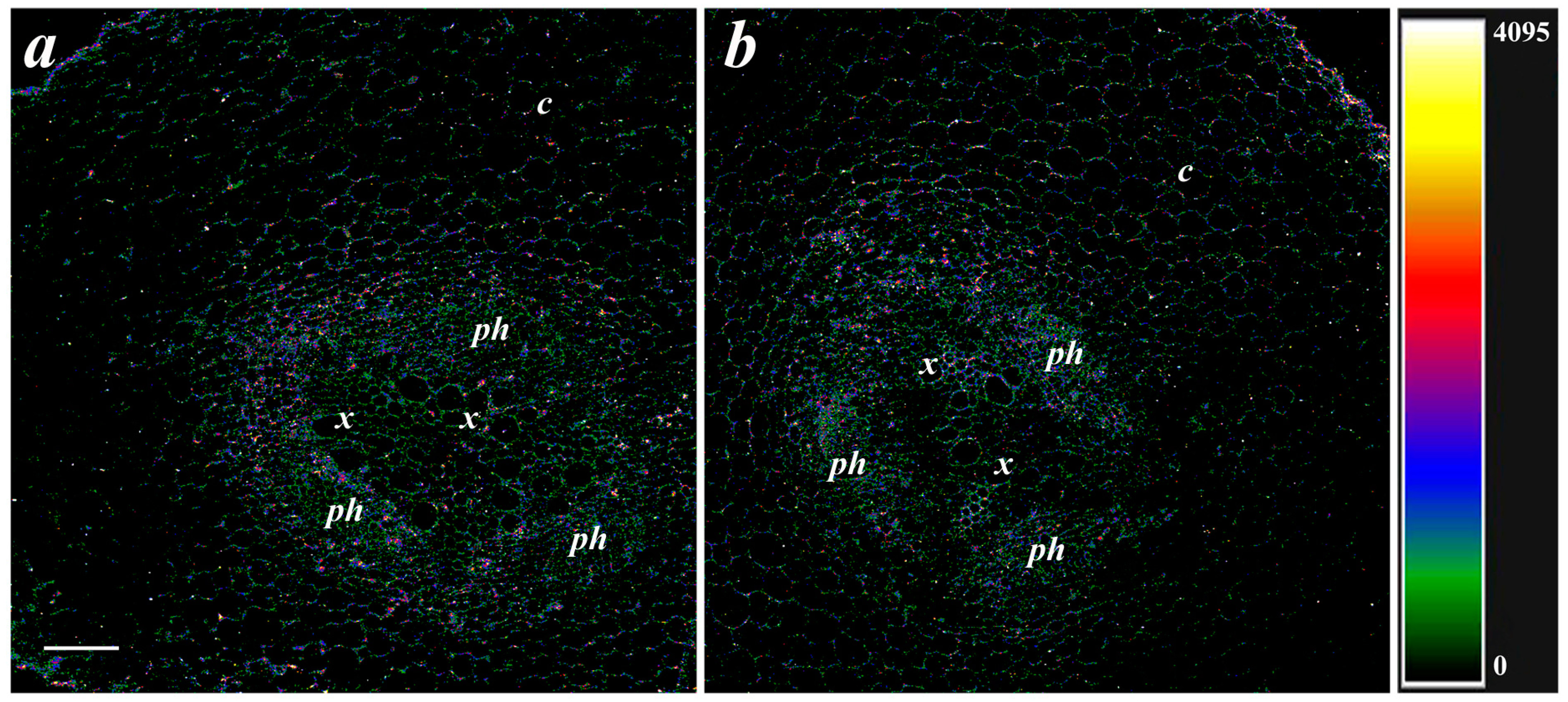 Membranes 13 00208 g004 Membranes 13 00208 g004