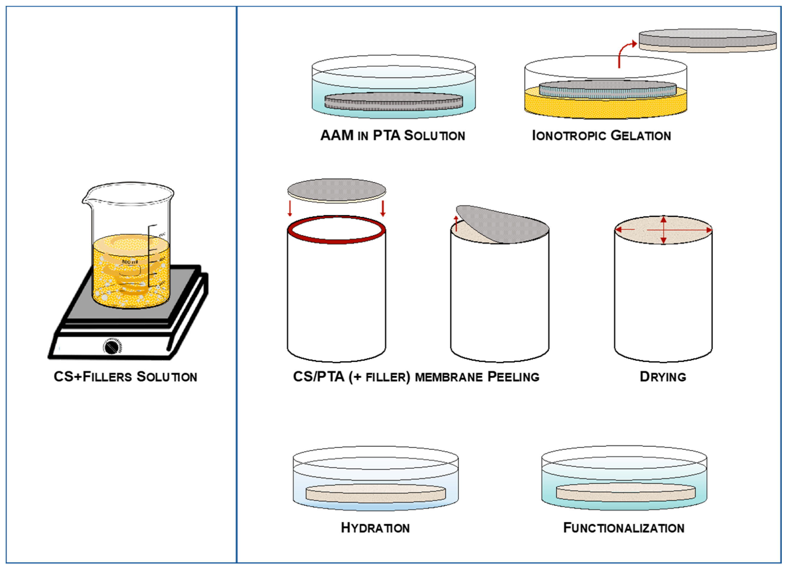 Membranes 13 00210 g001