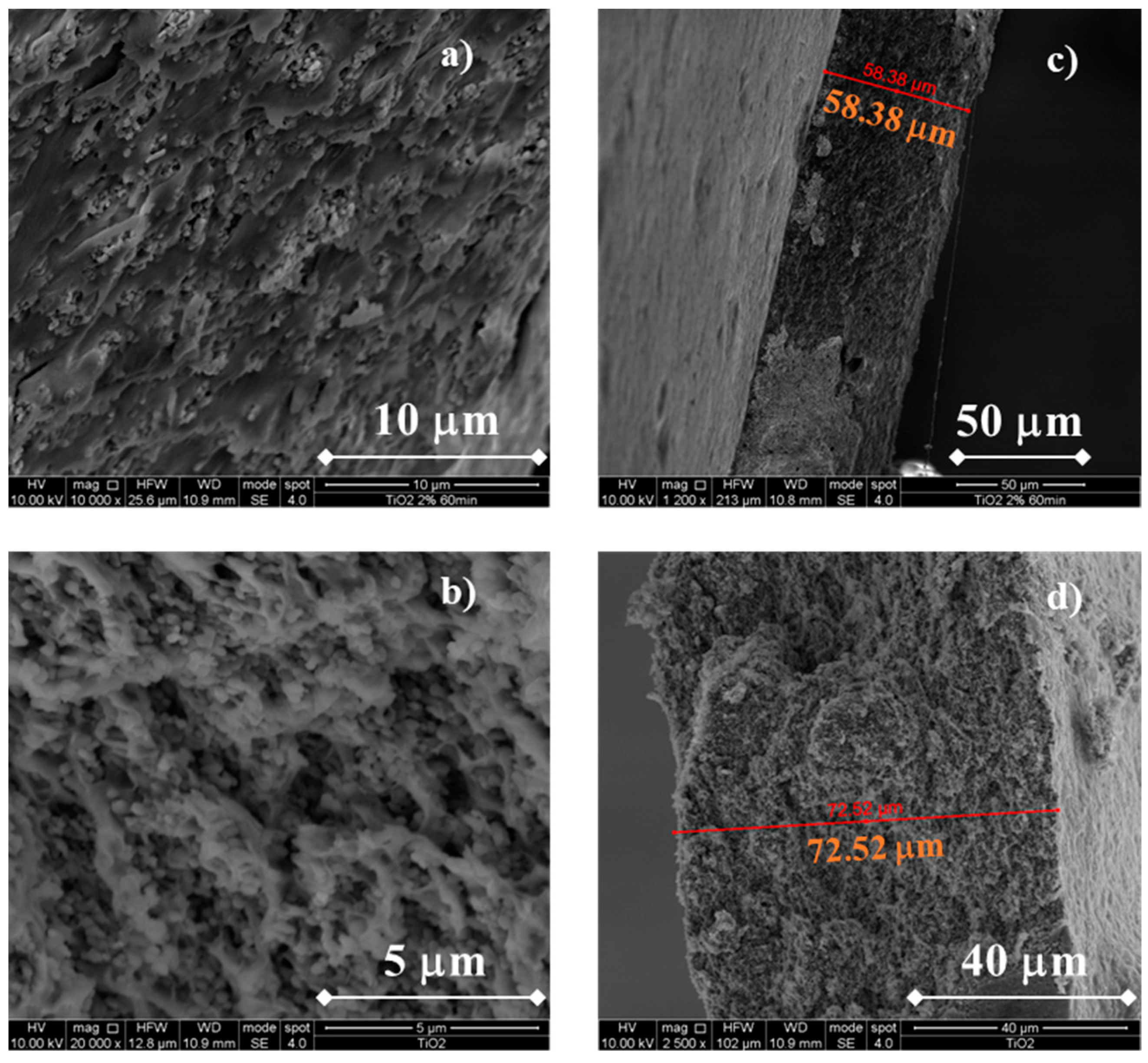 Membranes 13 00210 g003