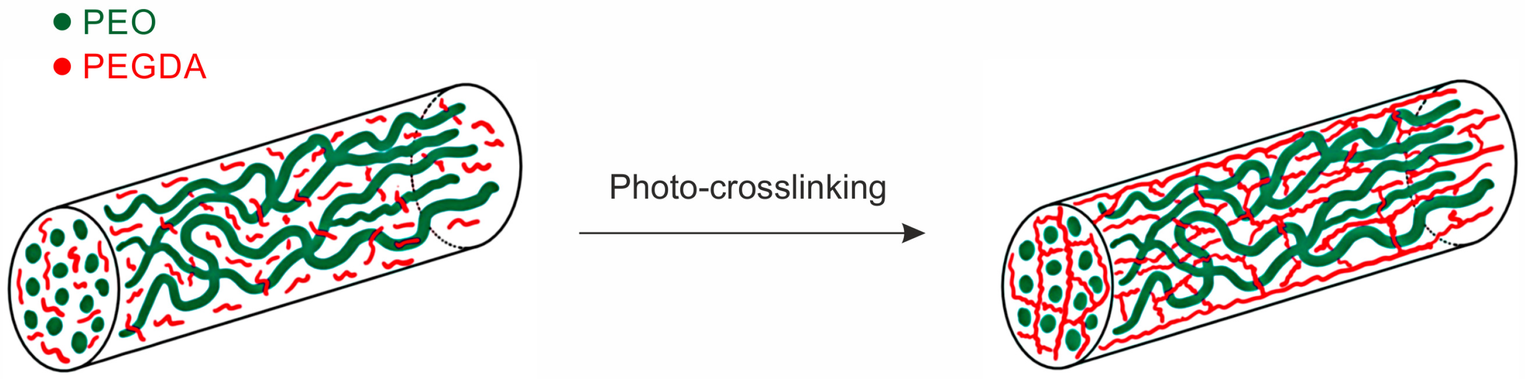 Membranes 13 00212 g001