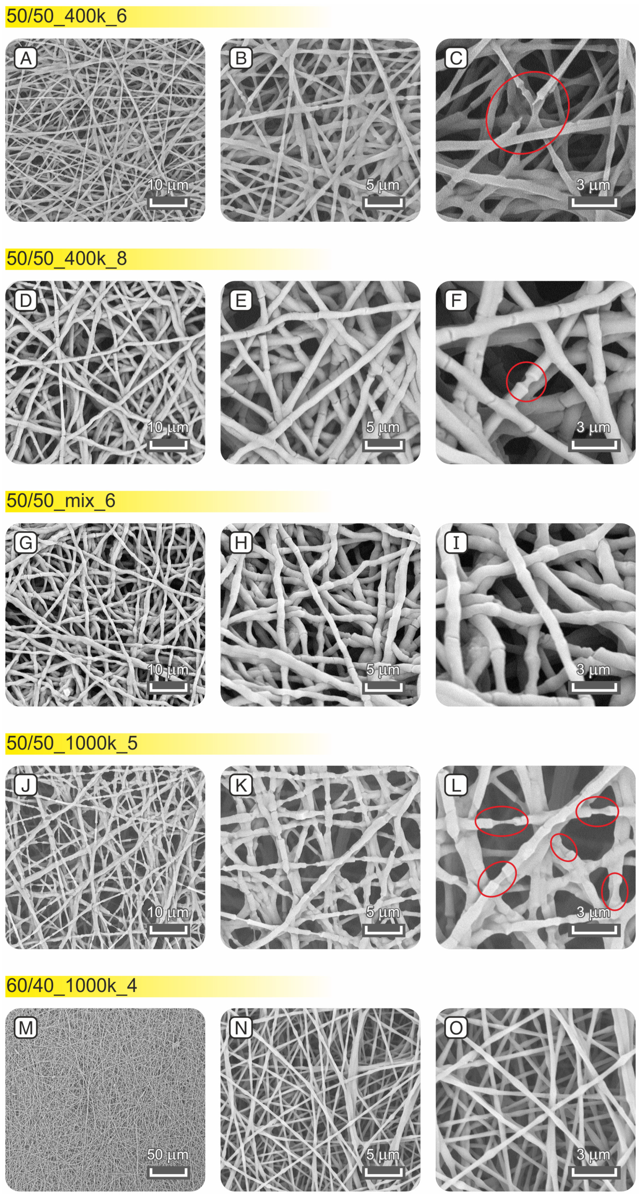 Membranes 13 00212 g005