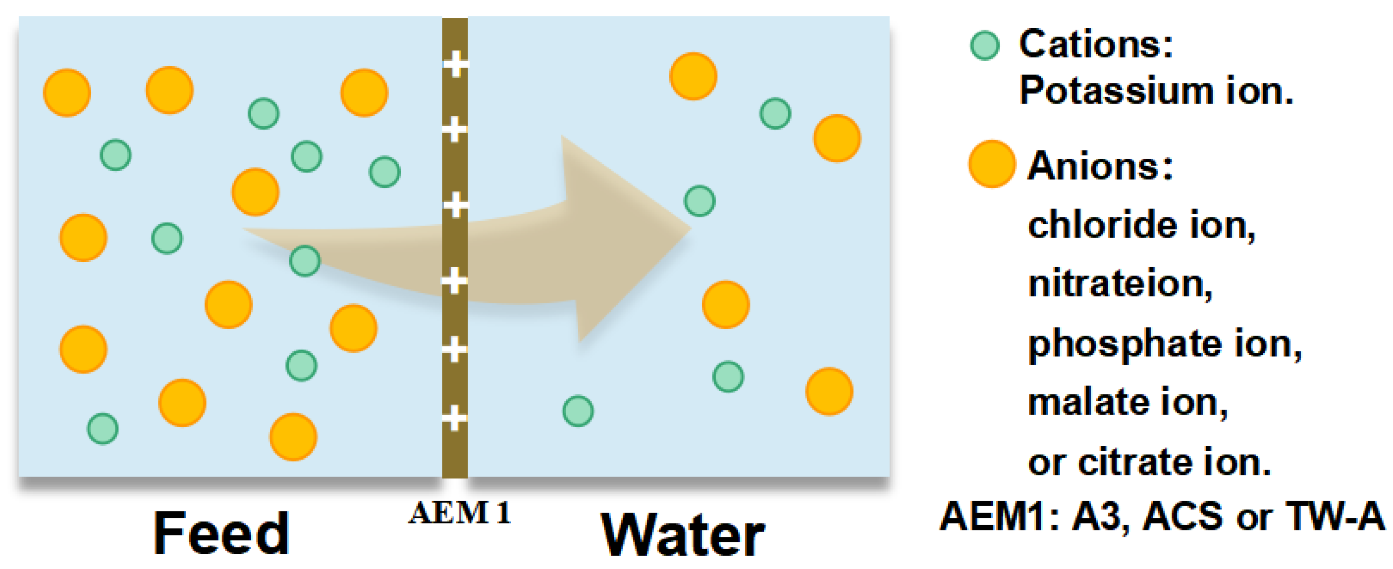 Membranes 13 00214 g001
