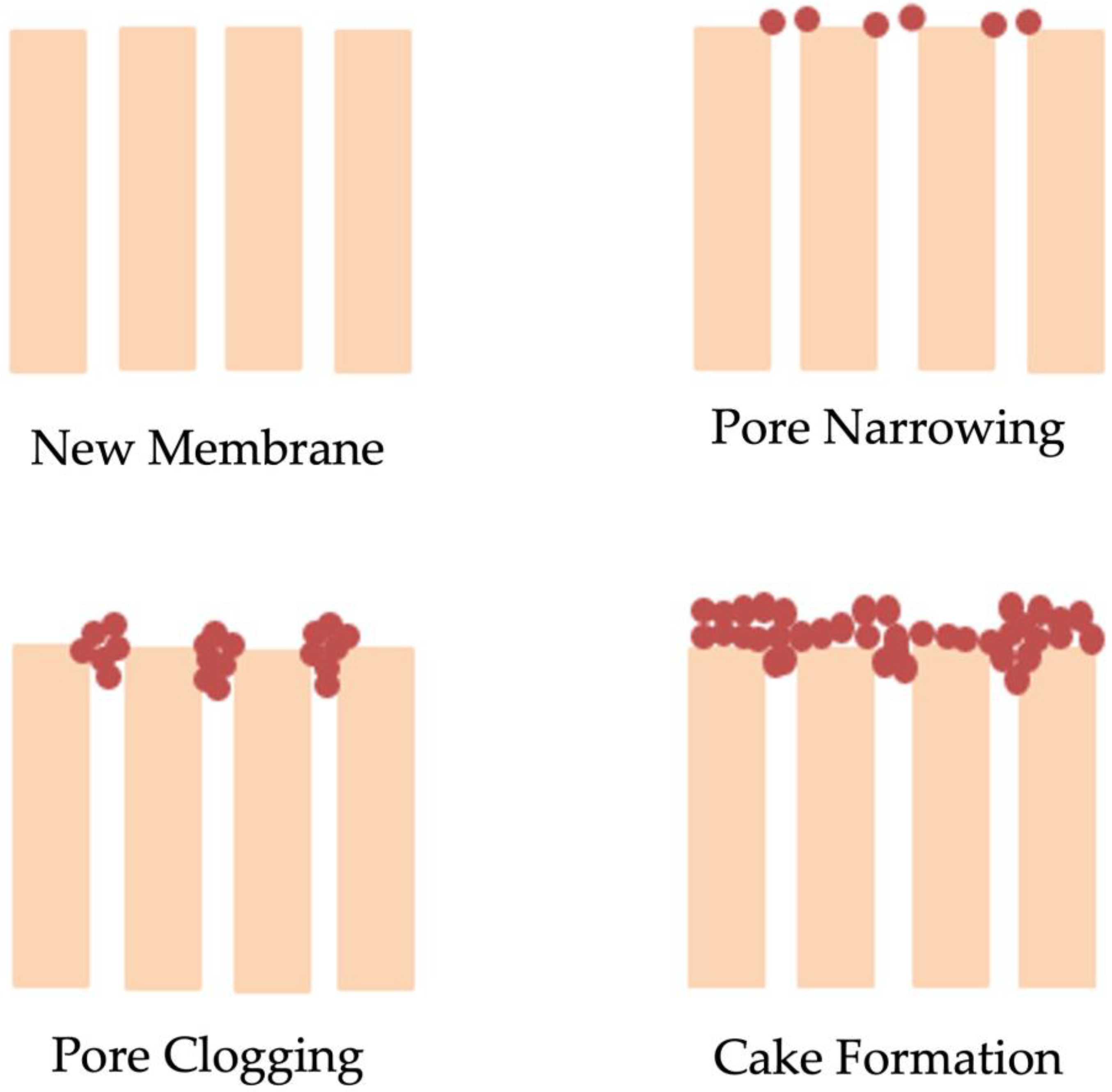 Membranes 13 00217 g002 Membranes 13 00217 g002