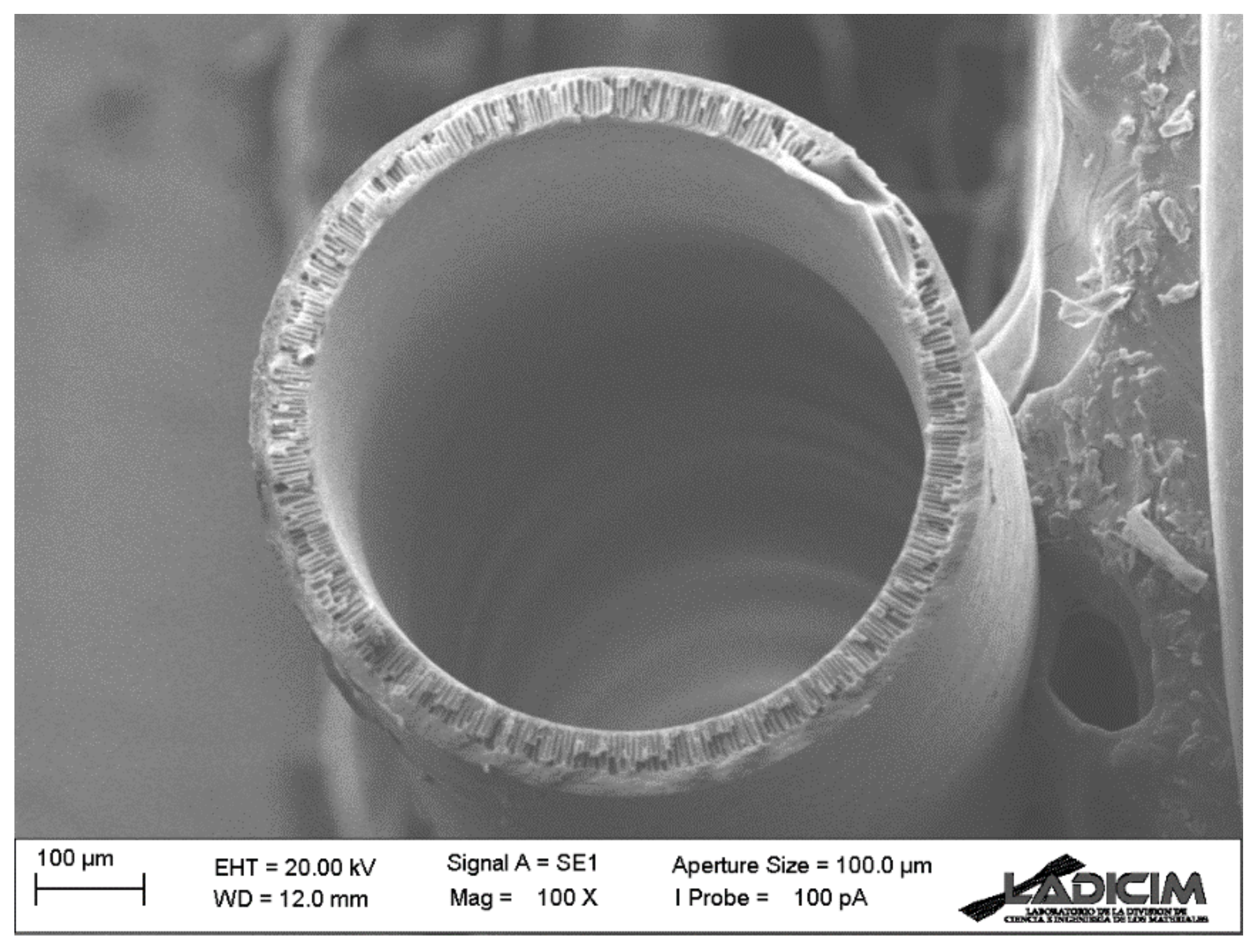 Membranes 13 00218 g005 Membranes 13 00218 g005