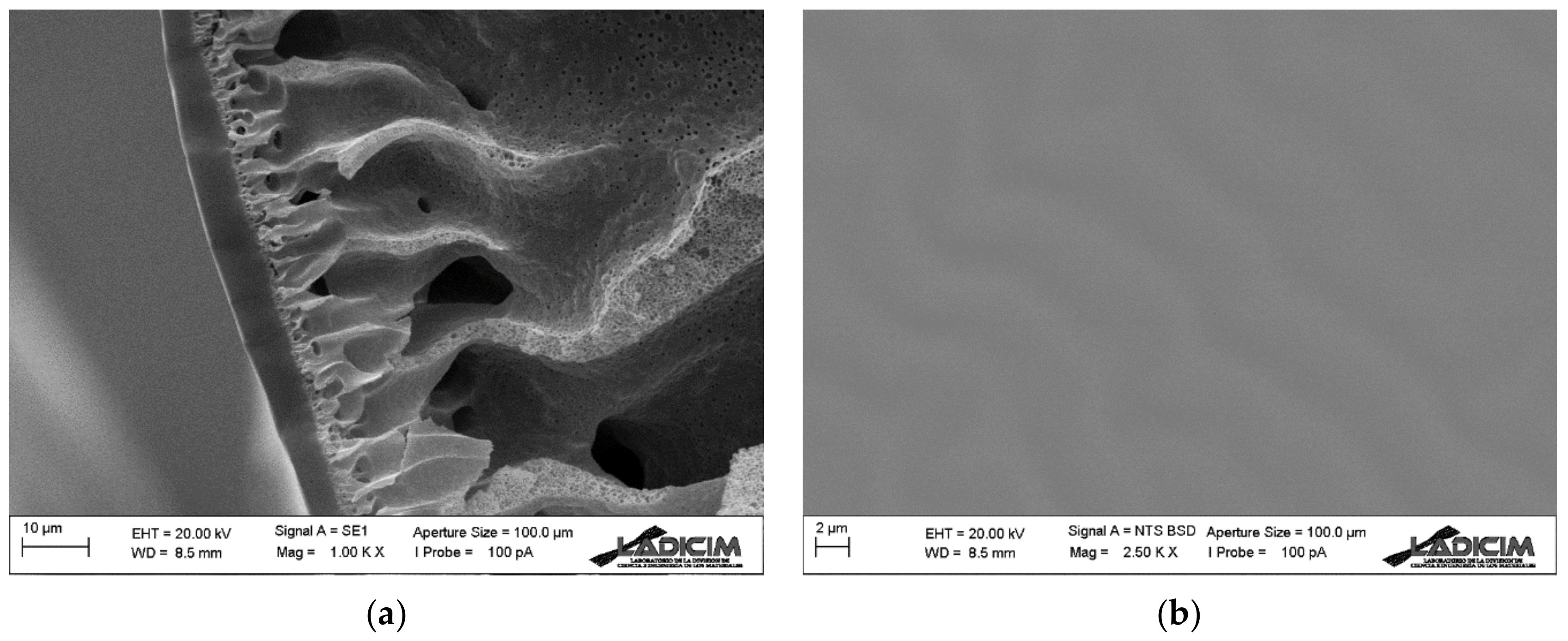 Membranes 13 00218 g007 Membranes 13 00218 g007