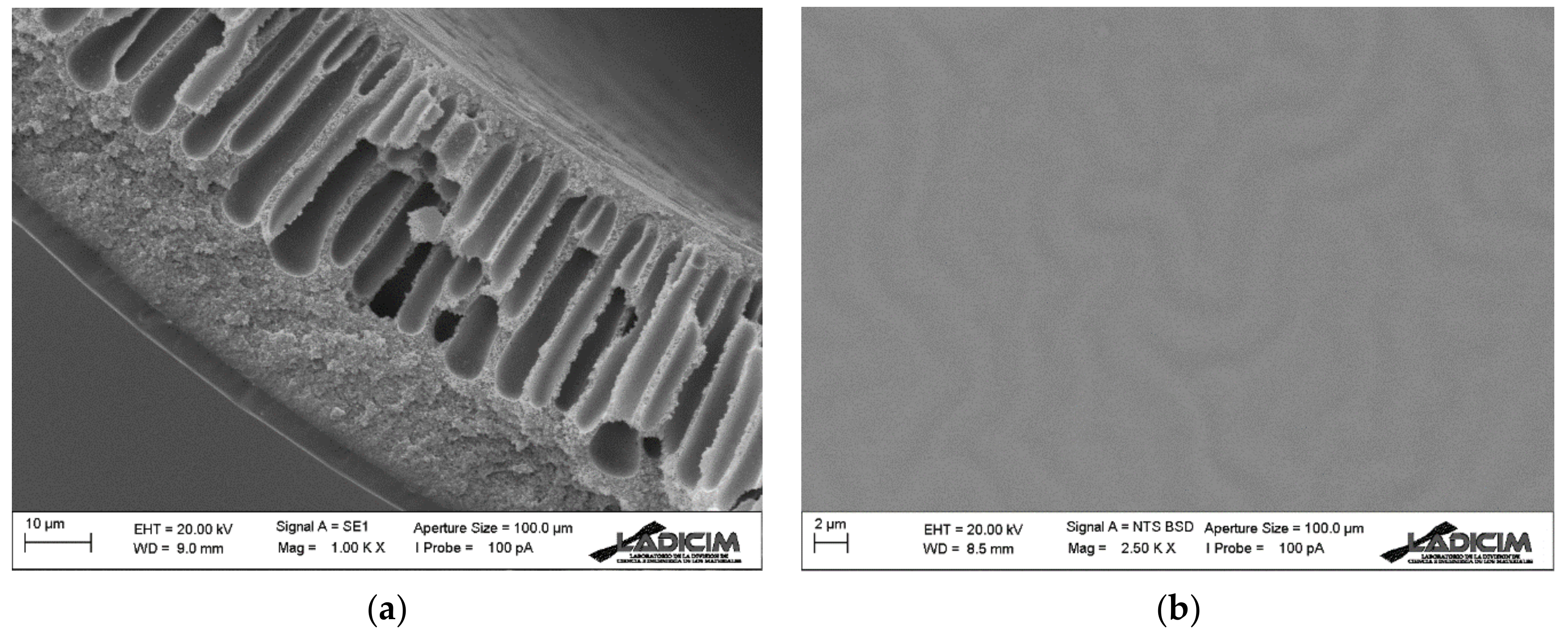 Membranes 13 00218 g008 Membranes 13 00218 g008
