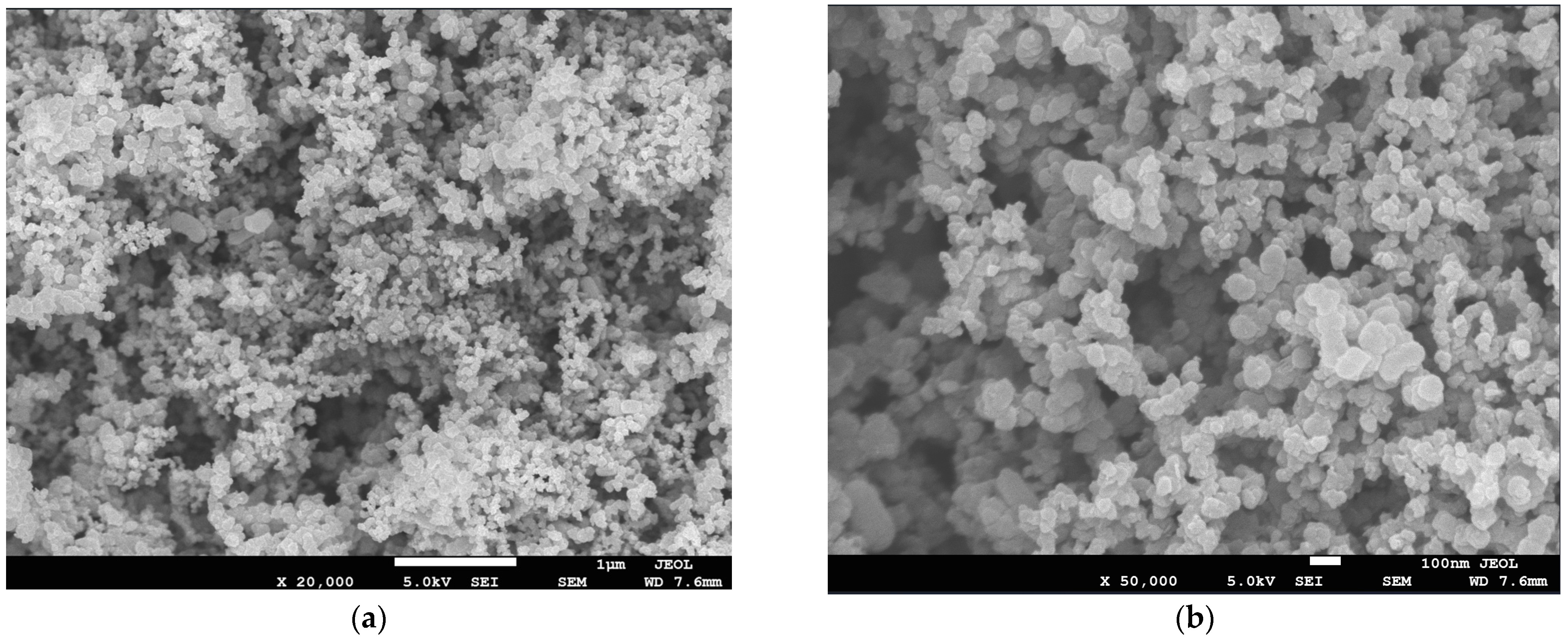 Membranes 13 00219 g001