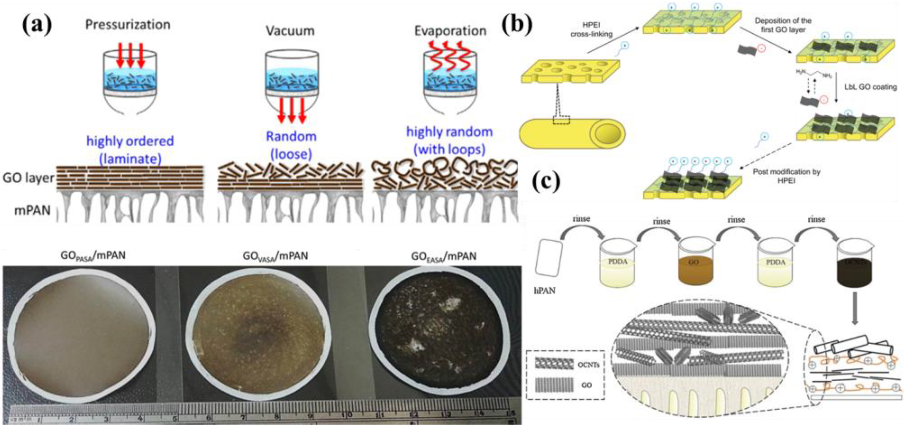 Membranes 13 00220 g002 Membranes 13 00220 g002