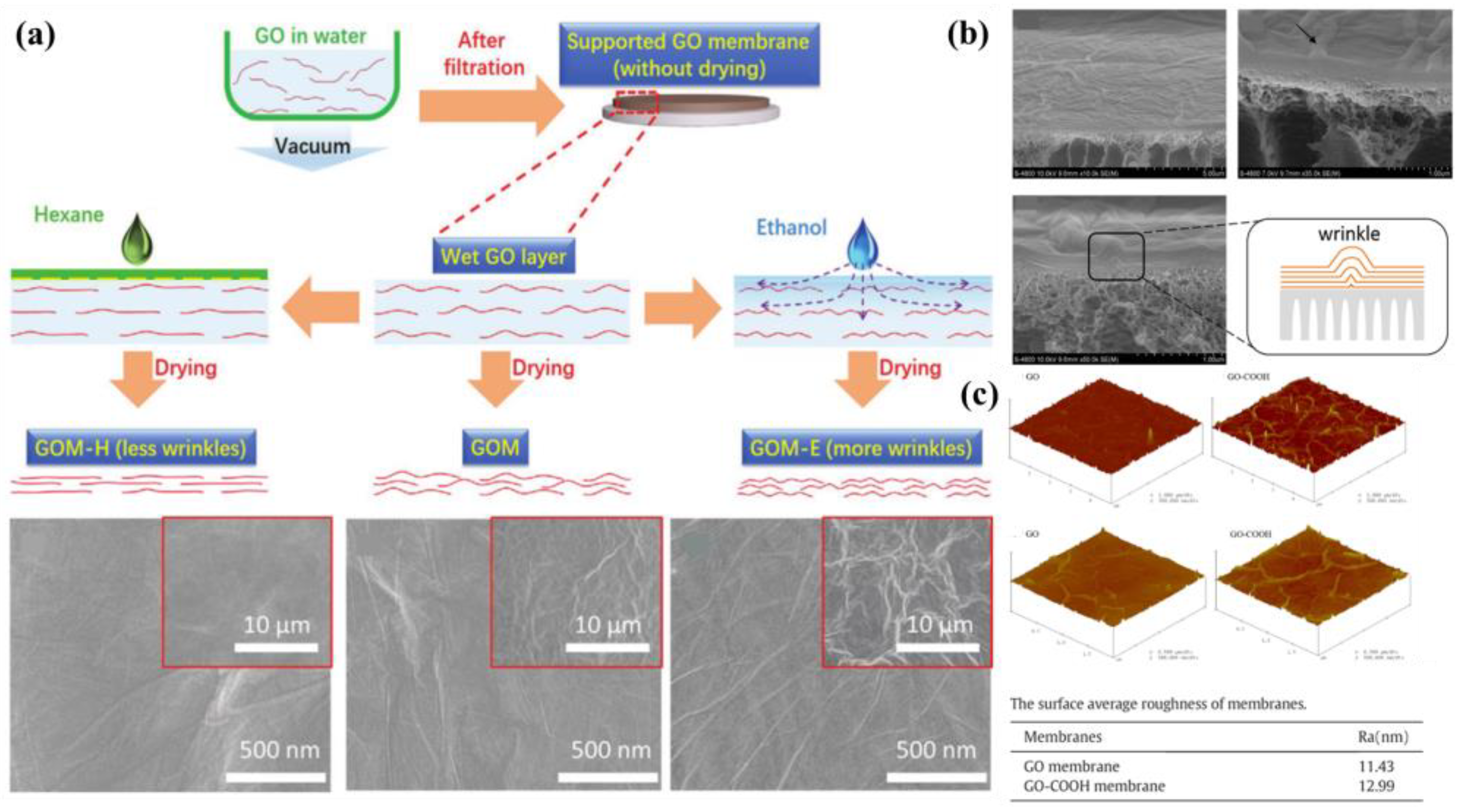 Membranes 13 00220 g012 Membranes 13 00220 g012