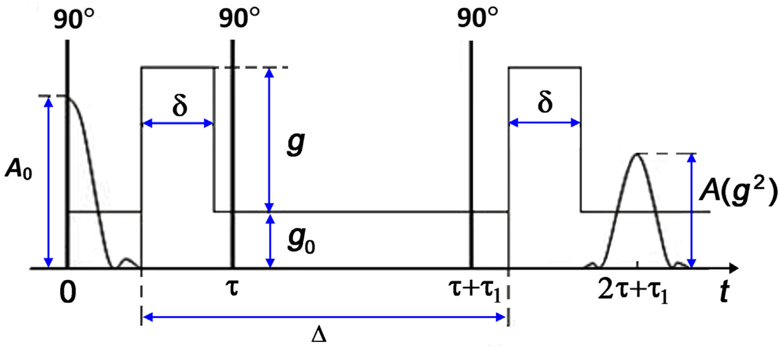 Membranes 13 00221 g001