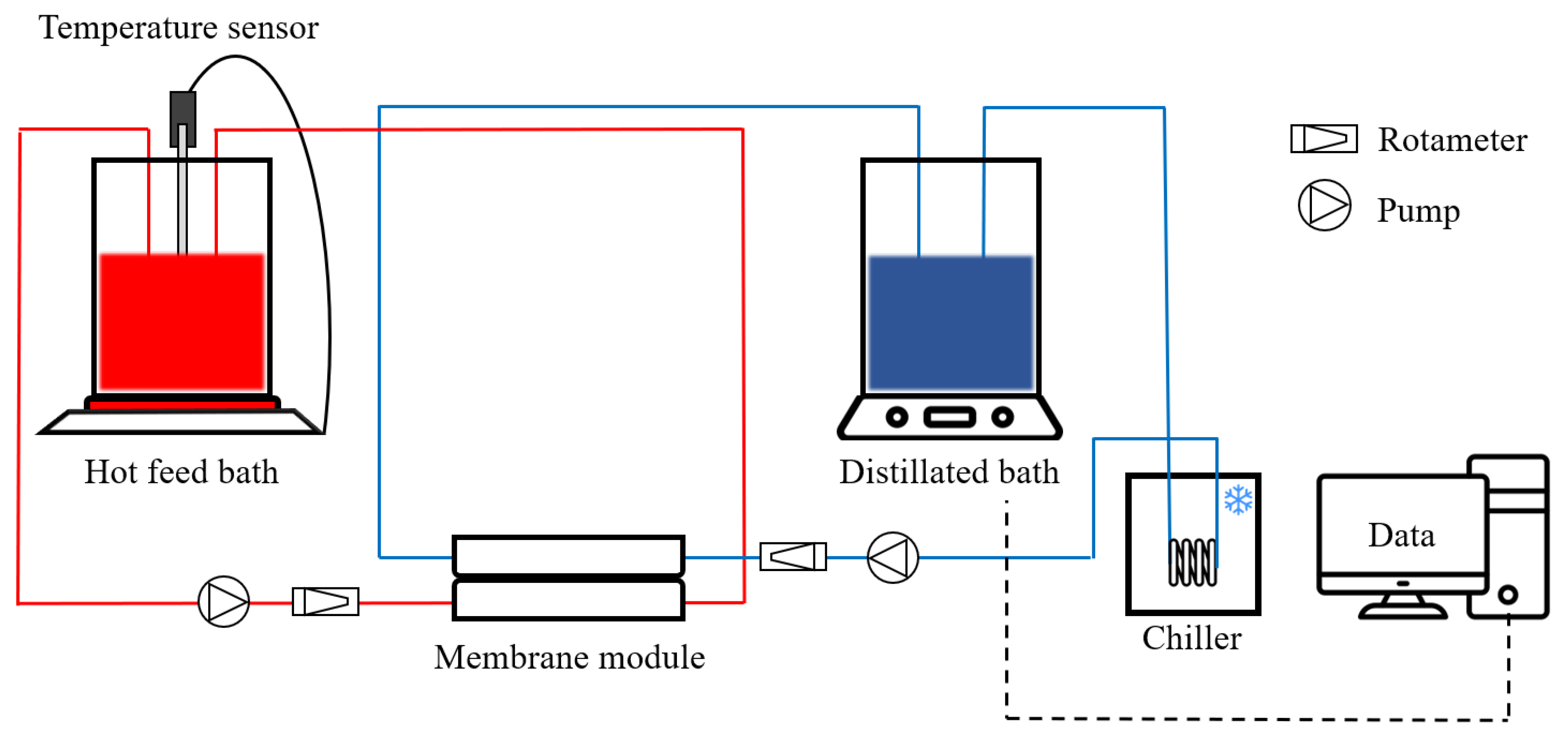 Membranes 13 00222 g001 550
