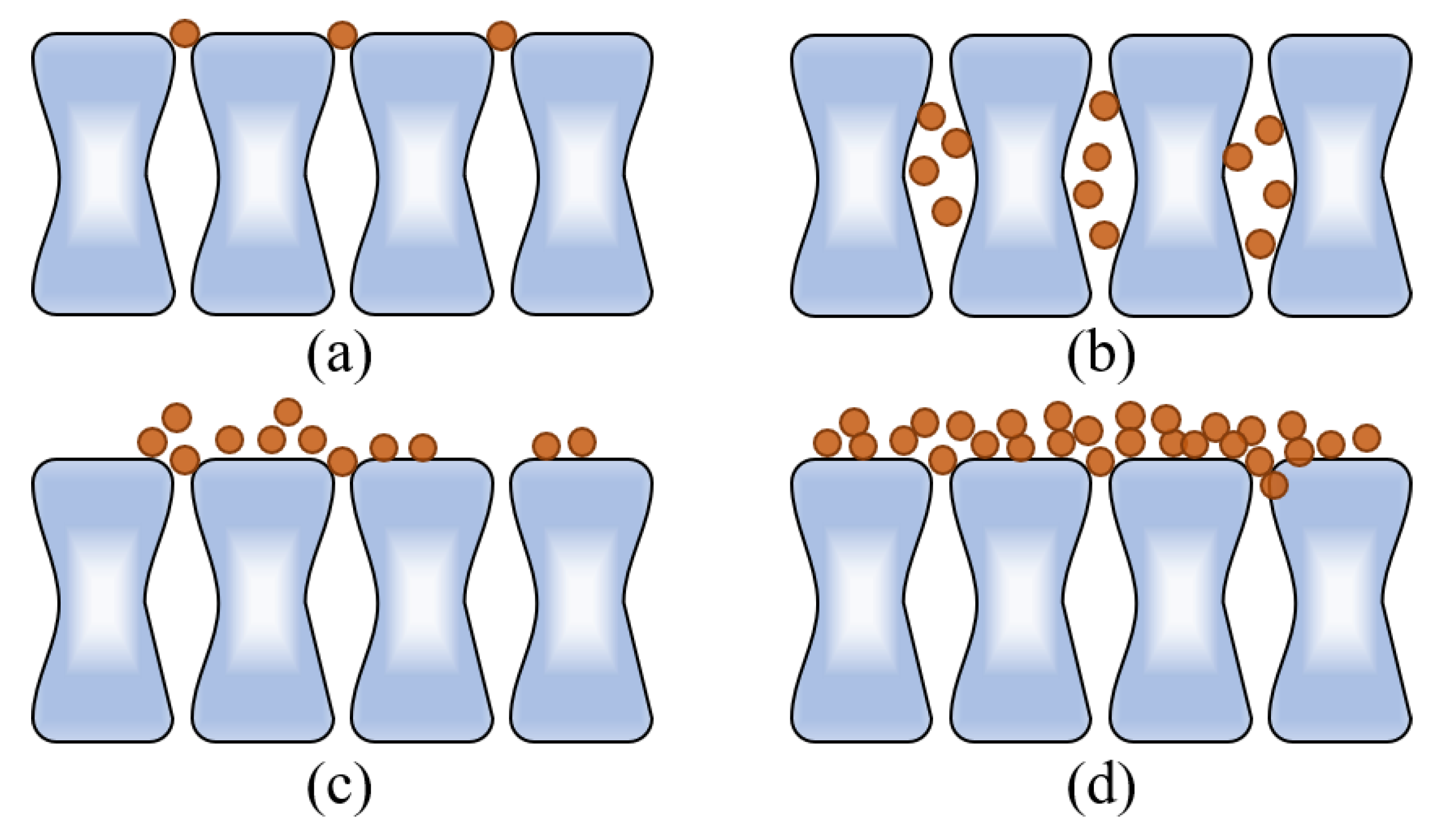 Membranes 13 00222 g002 550