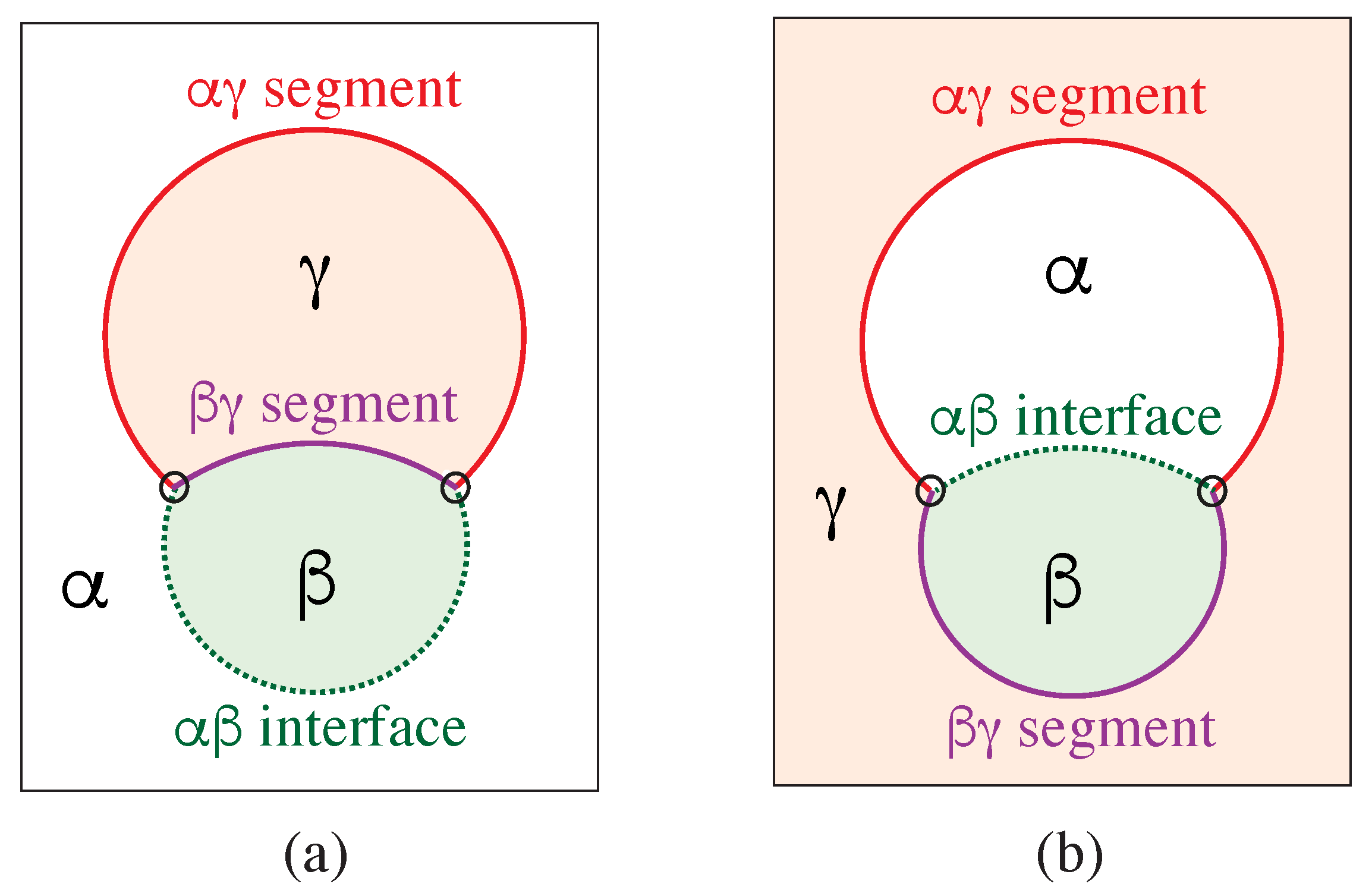Membranes 13 00223 g001 Membranes 13 00223 g001