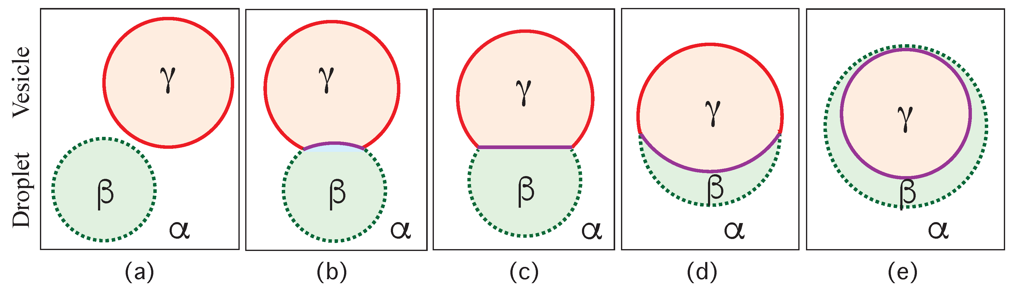 Membranes 13 00223 g002 Membranes 13 00223 g002