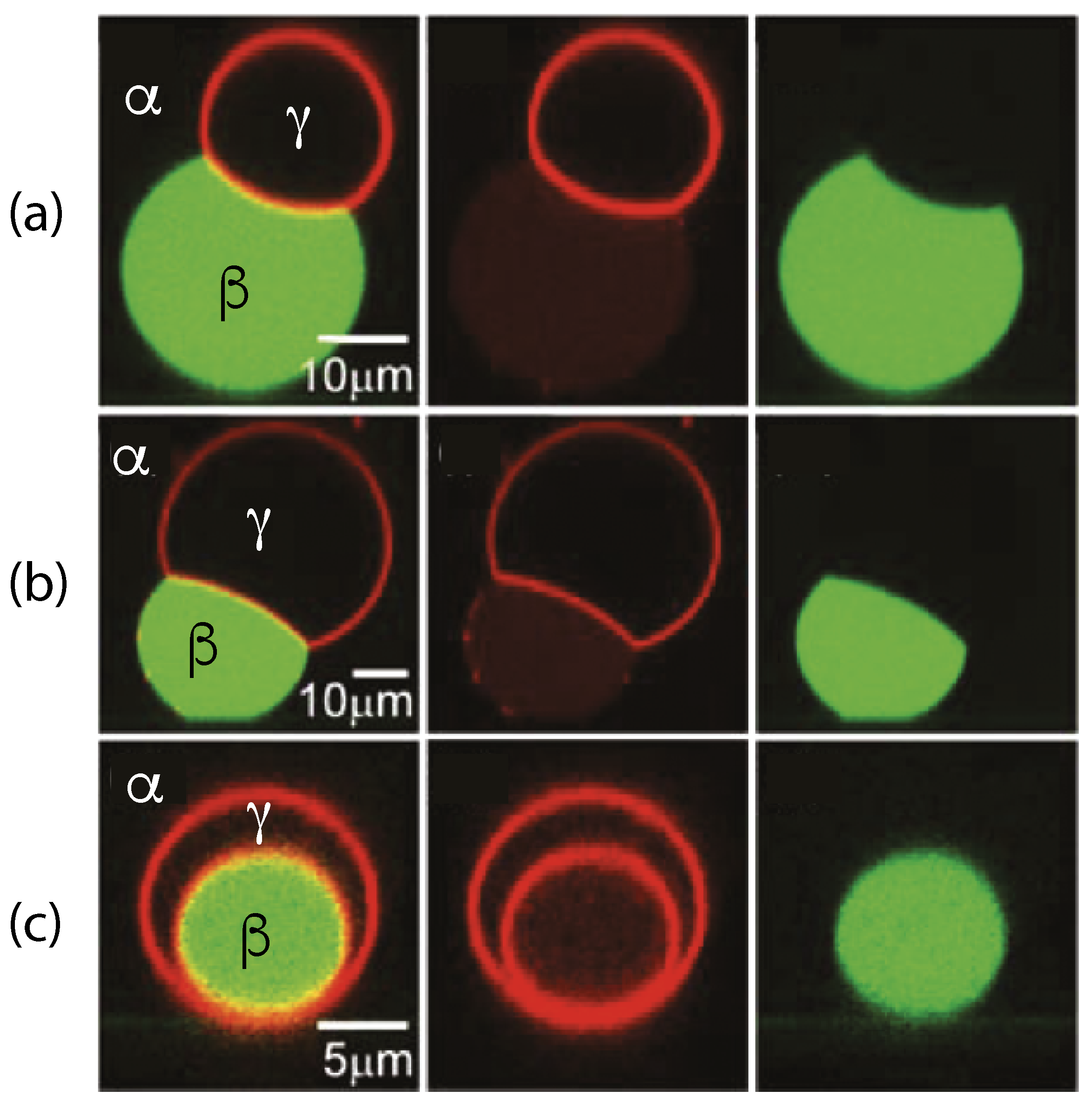 Membranes 13 00223 g003 Membranes 13 00223 g003