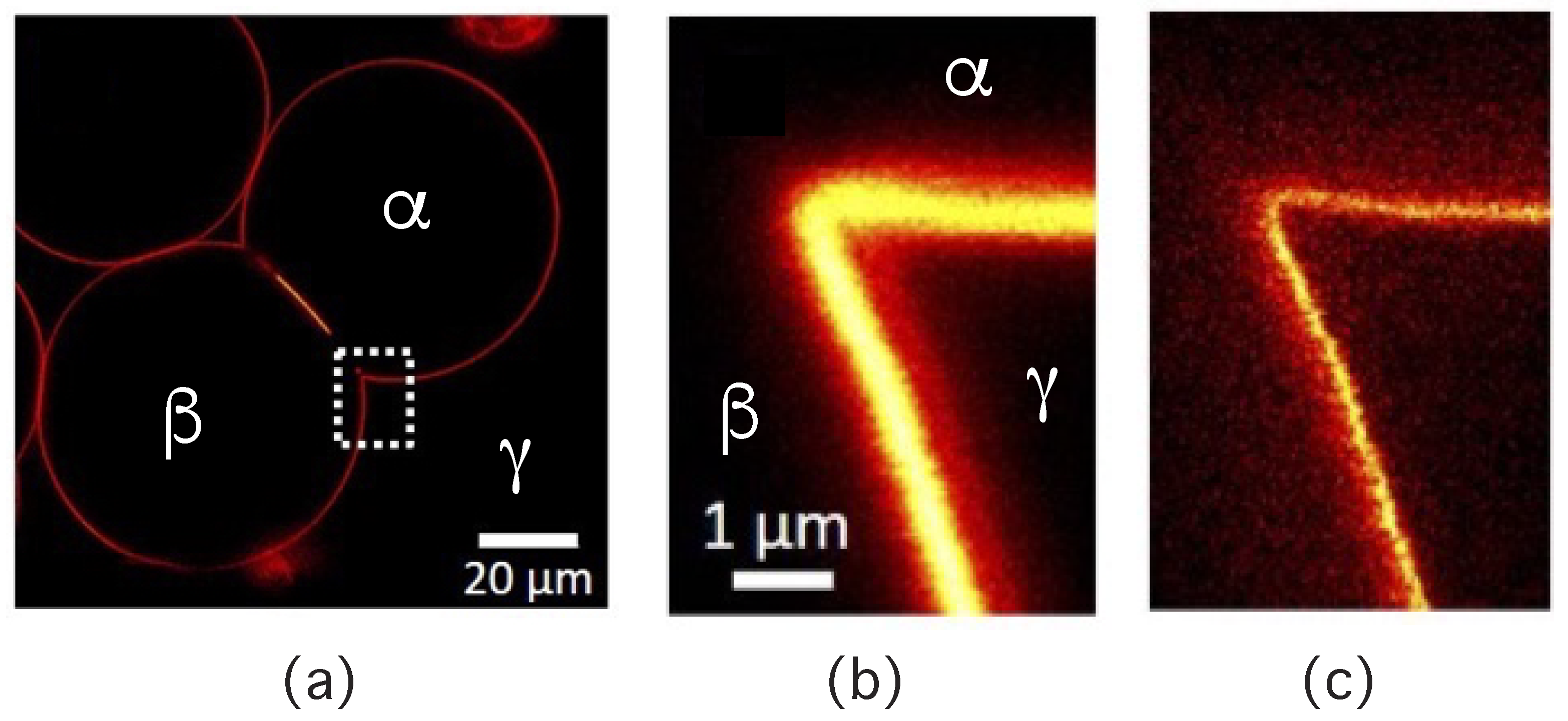 Membranes 13 00223 g014 Membranes 13 00223 g014