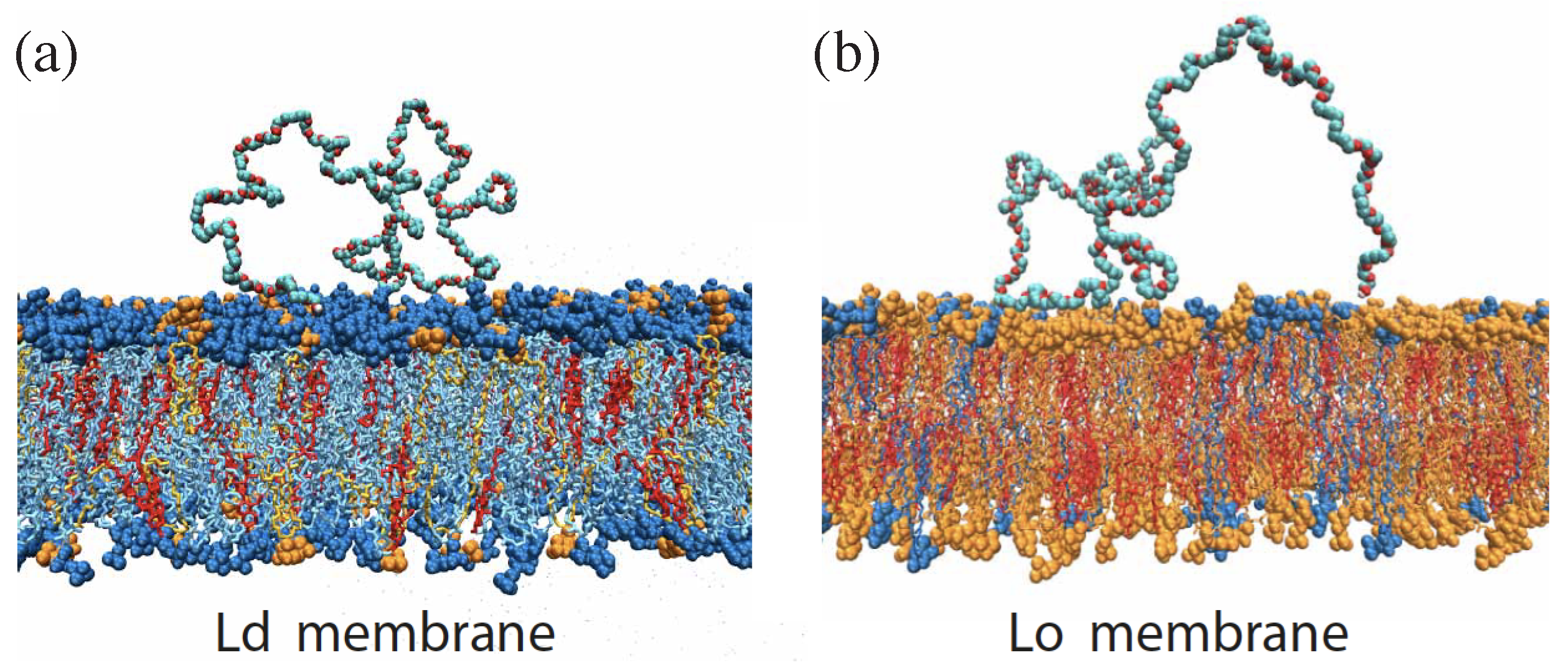 Membranes 13 00223 g017 Membranes 13 00223 g017
