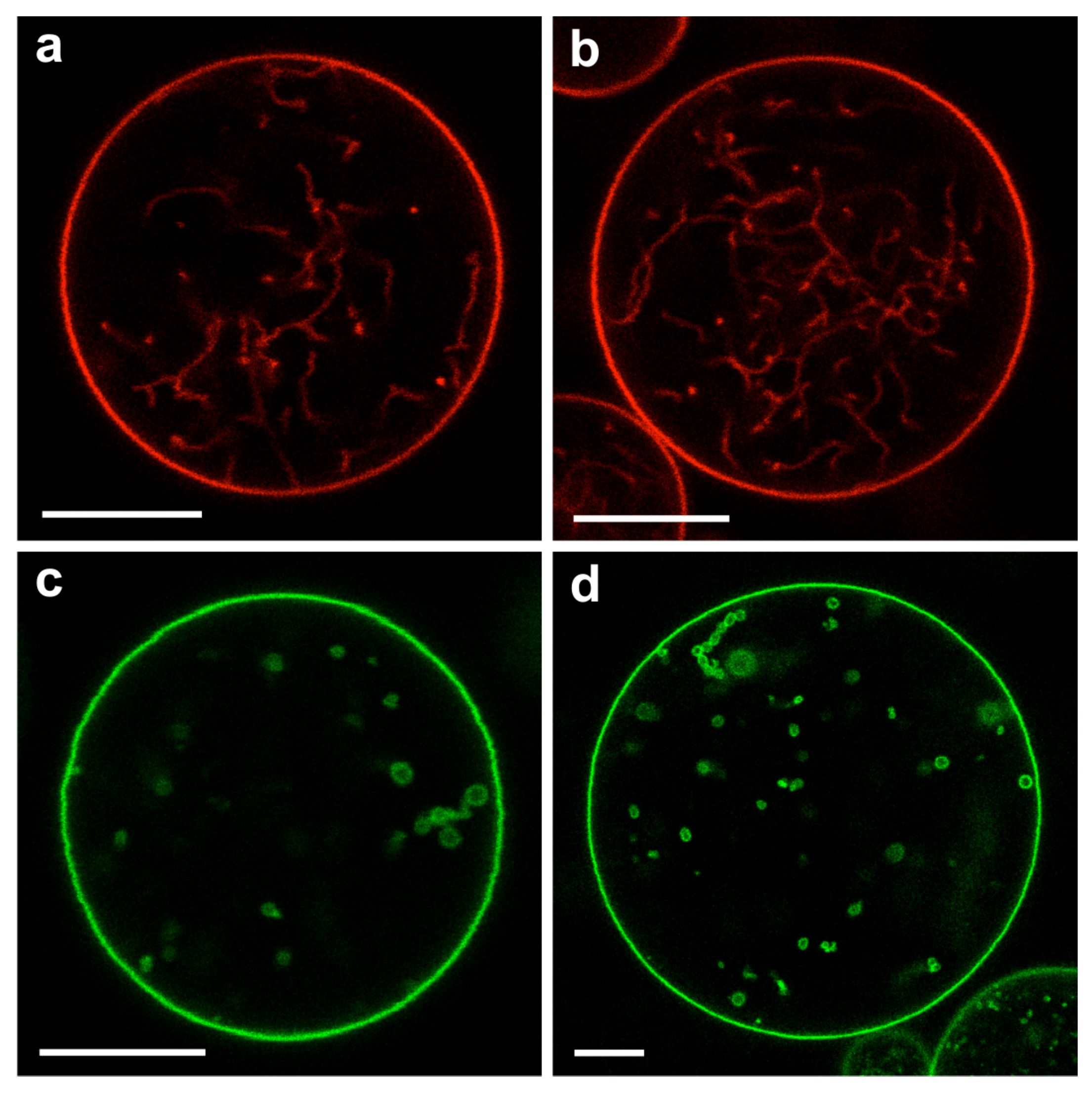 Membranes 13 00223 g020 Membranes 13 00223 g020