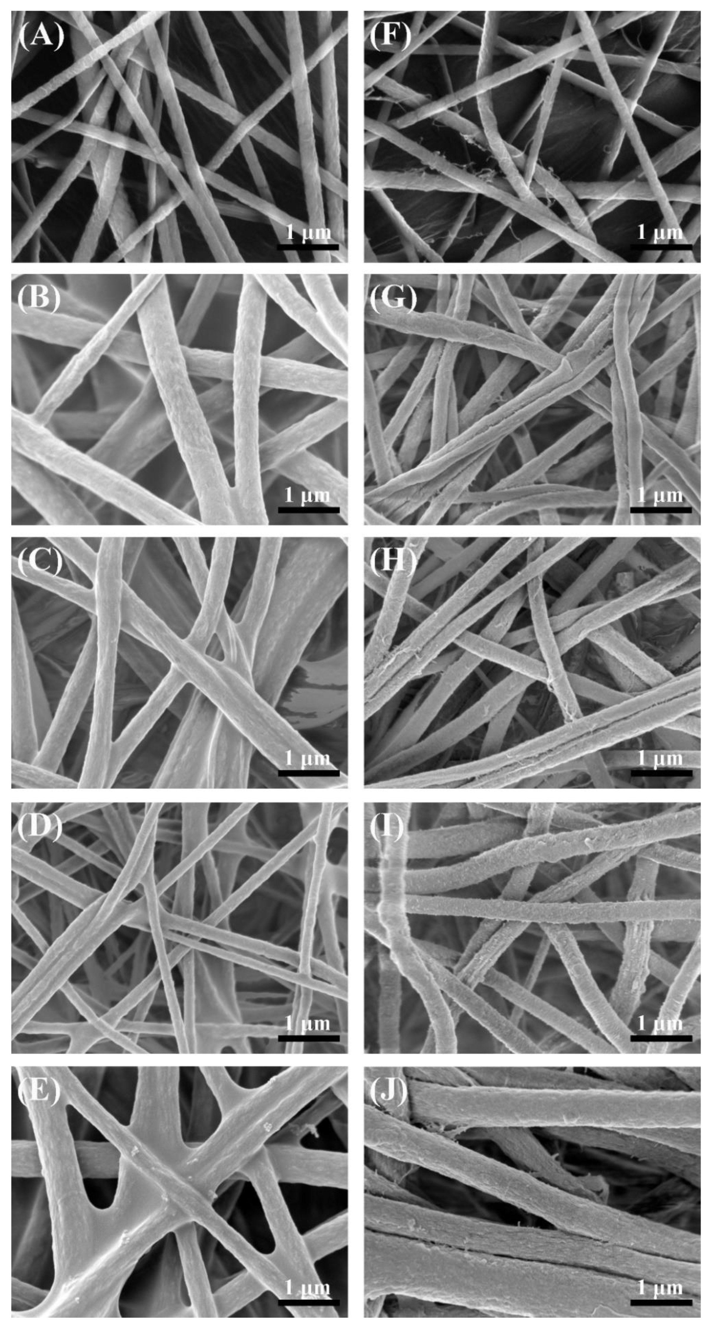 Membranes 13 00225 g003