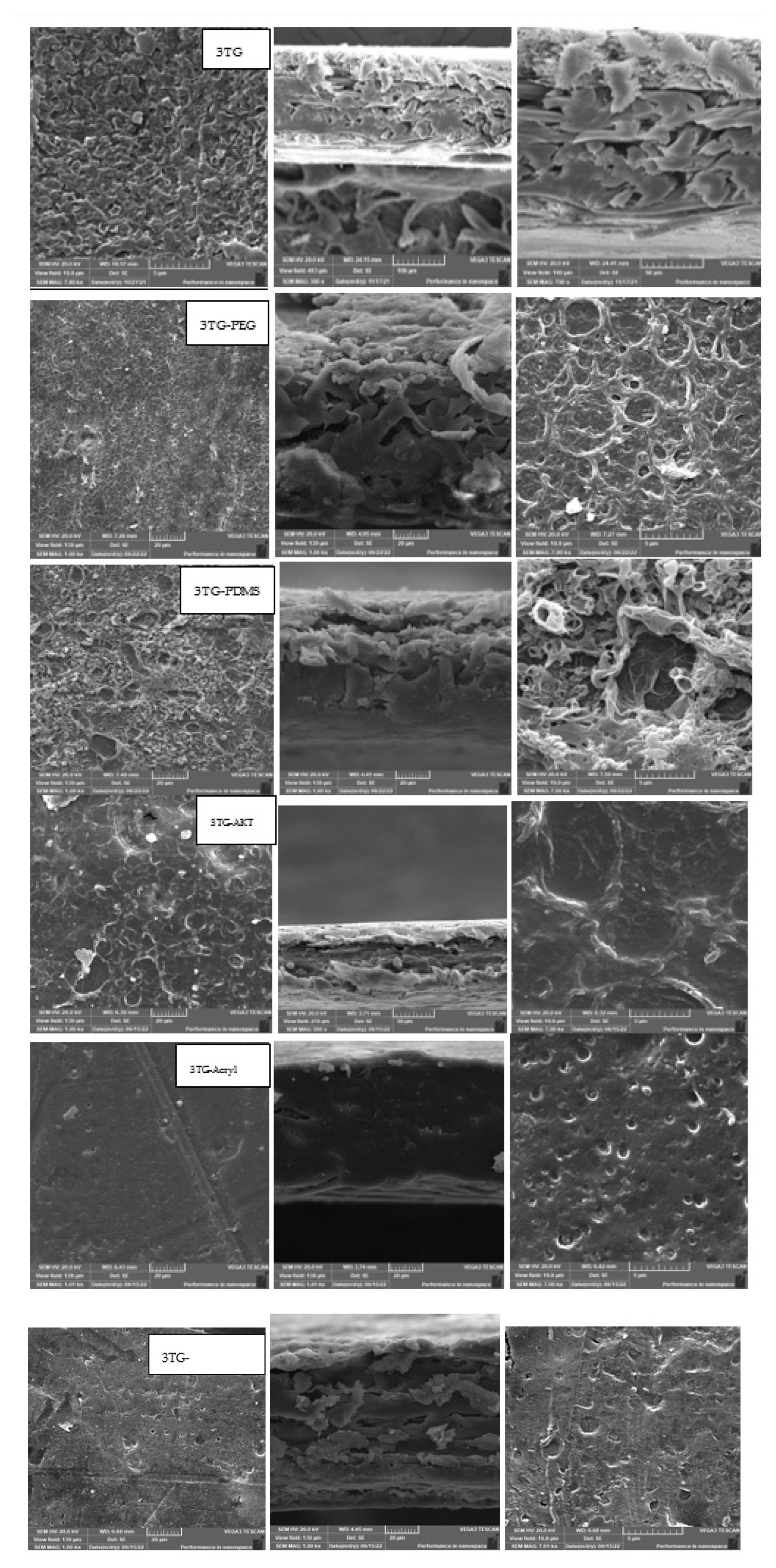 Membranes 13 00227 g008