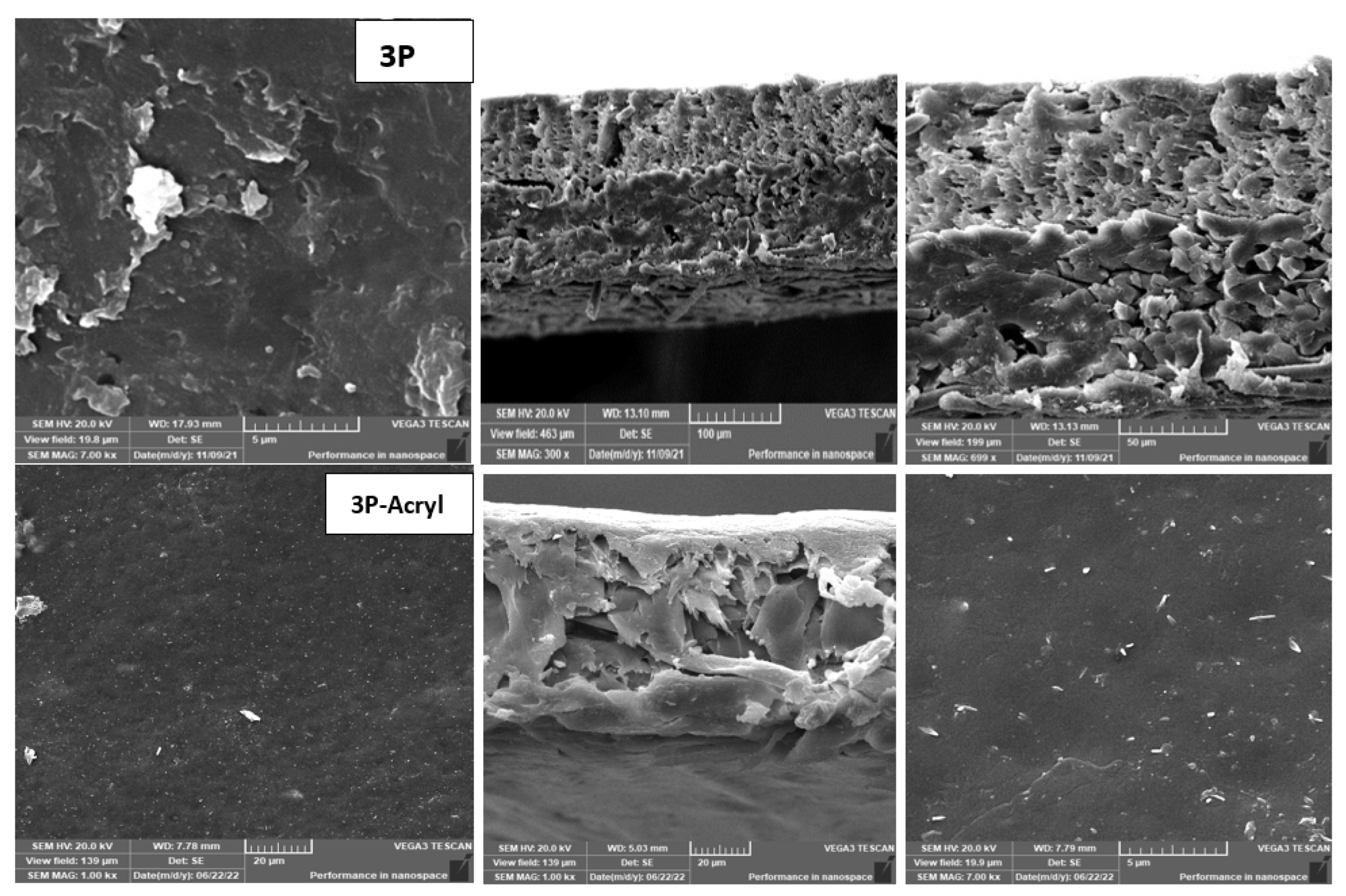 Membranes 13 00227 g011