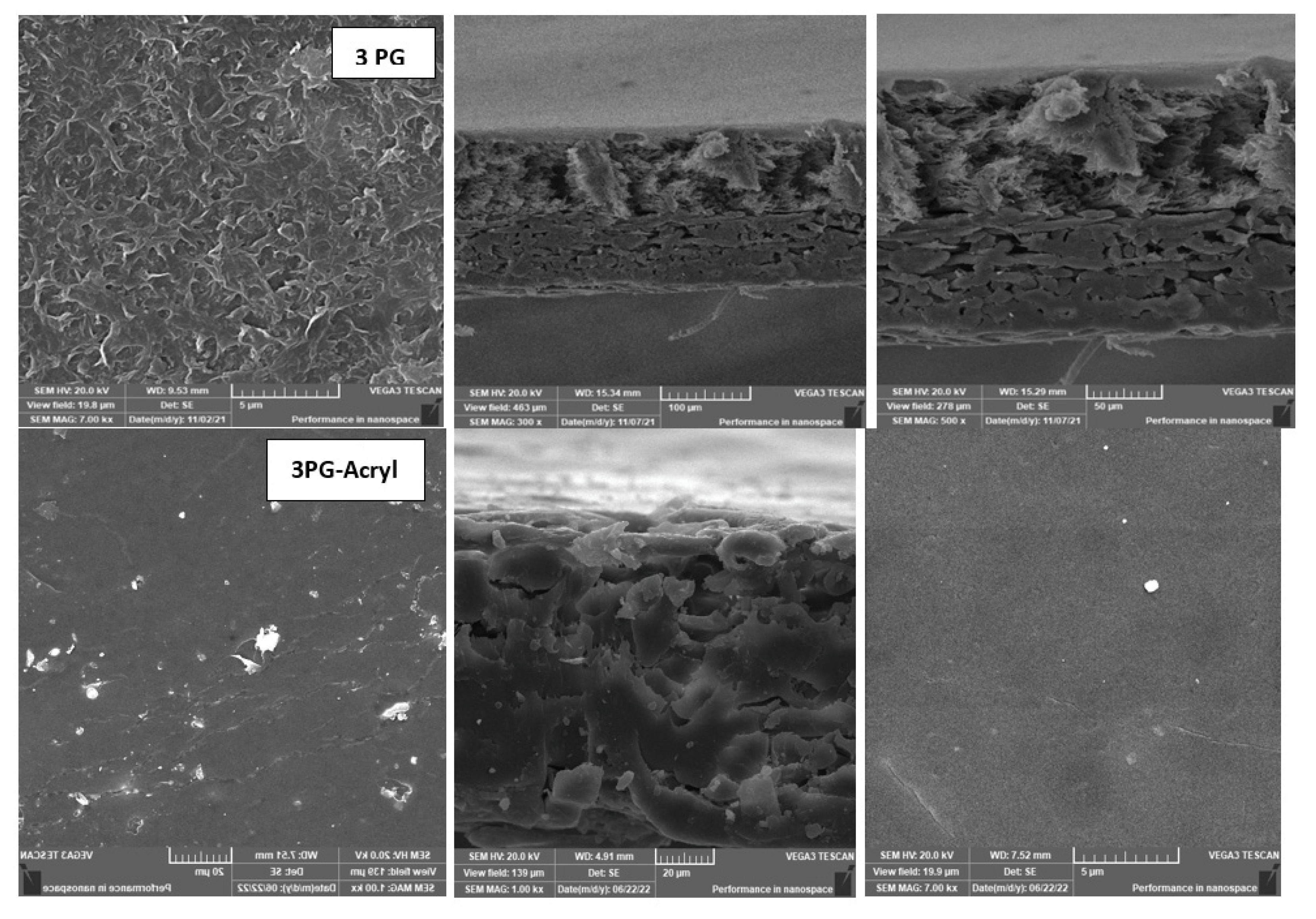 Membranes 13 00227 g014