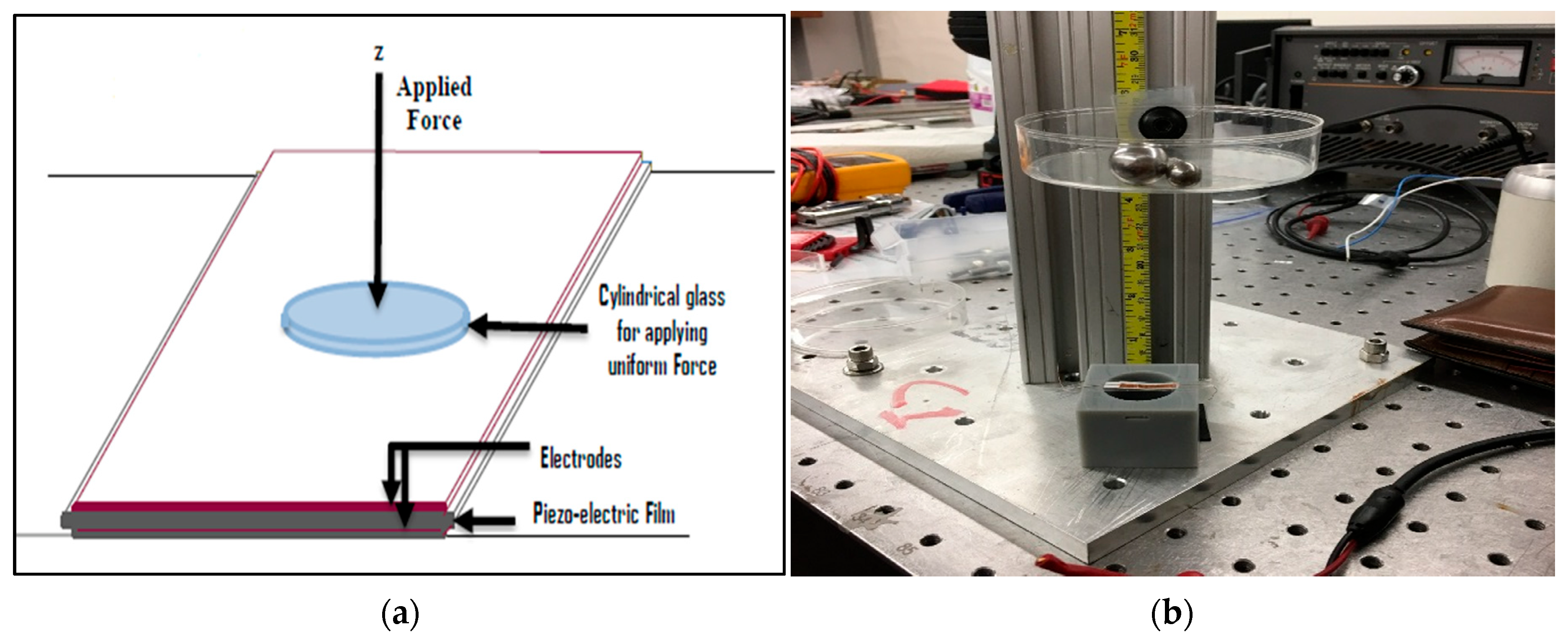 Membranes 13 00231 g004 550
