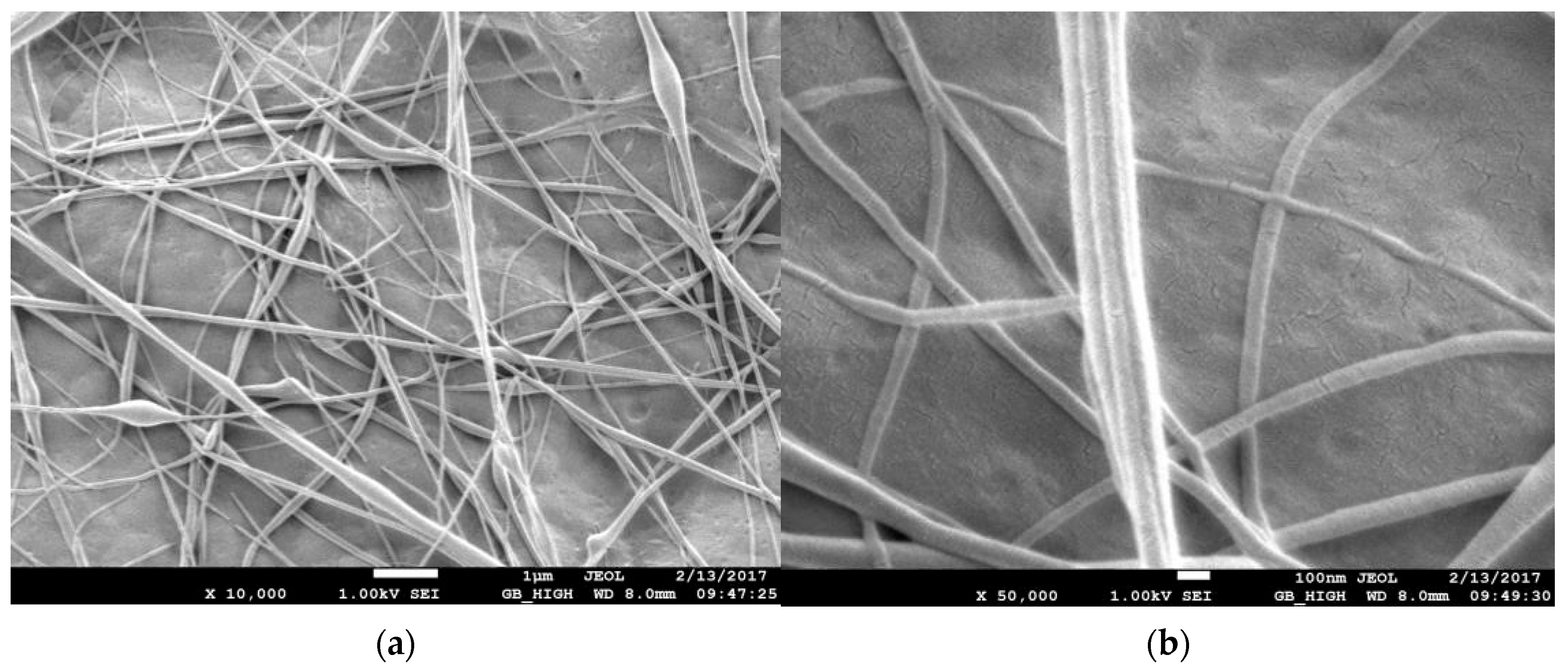 Membranes 13 00231 g005 550