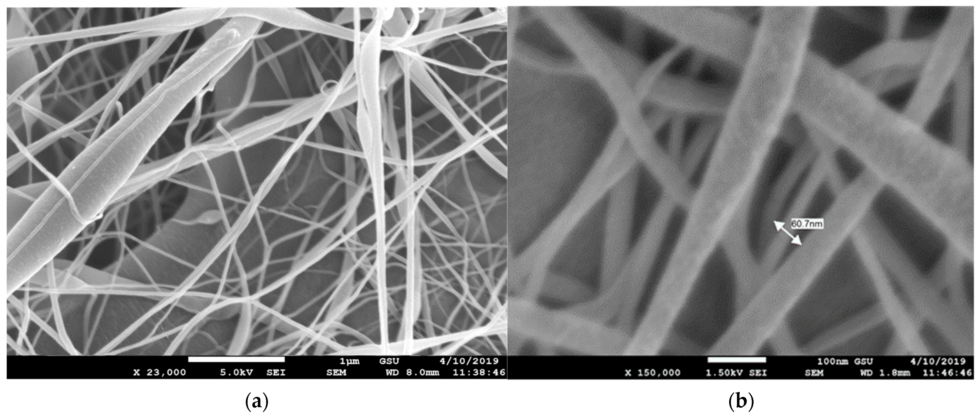 Membranes 13 00231 g006 550