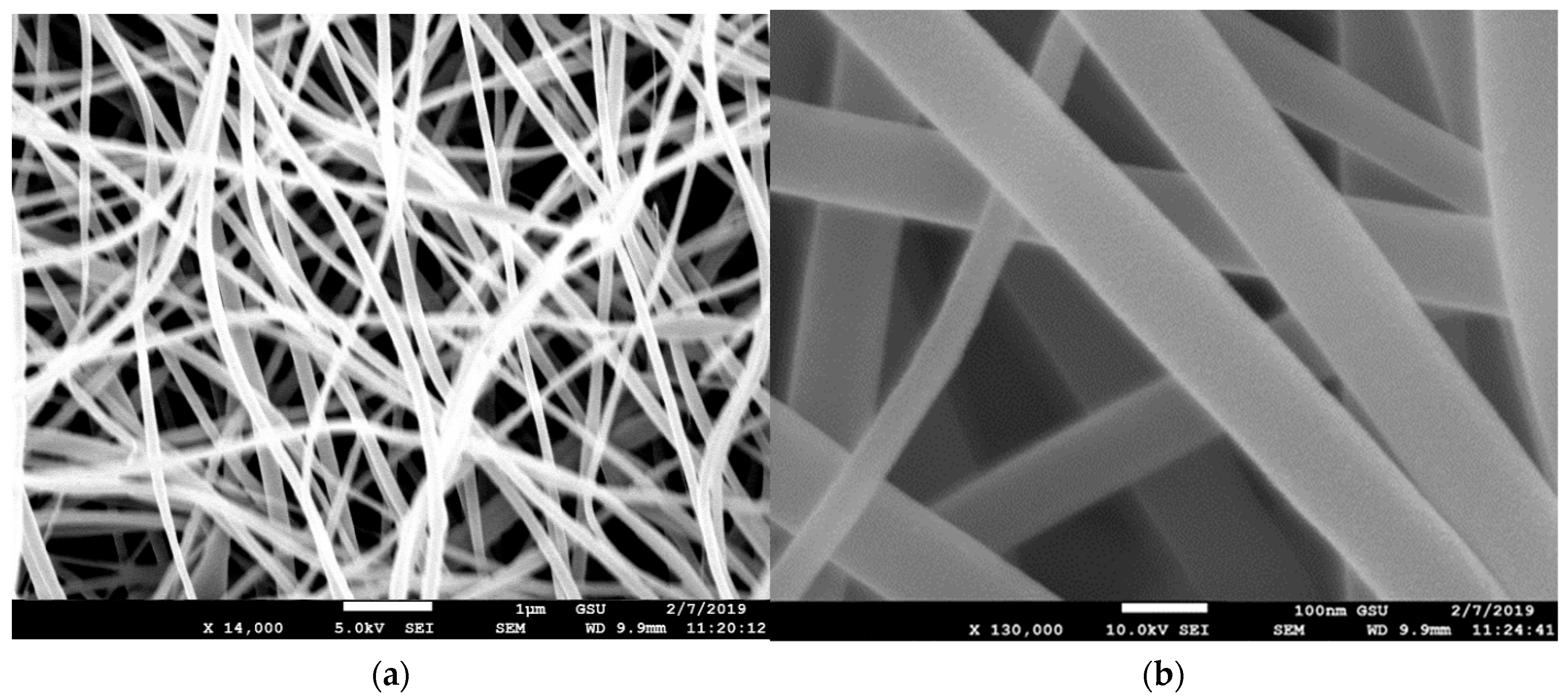 Membranes 13 00231 g007 550