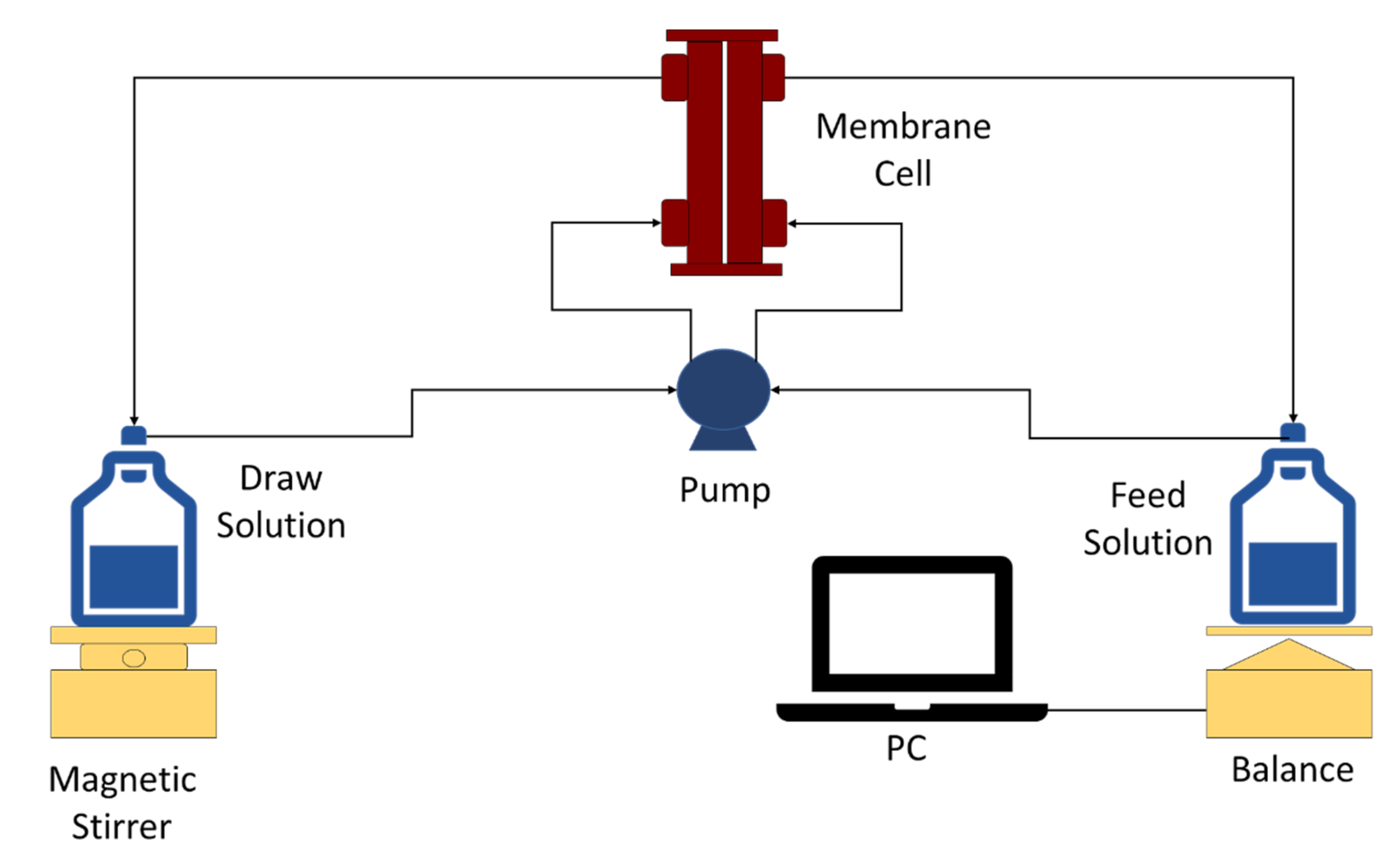 Membranes 13 00232 g001