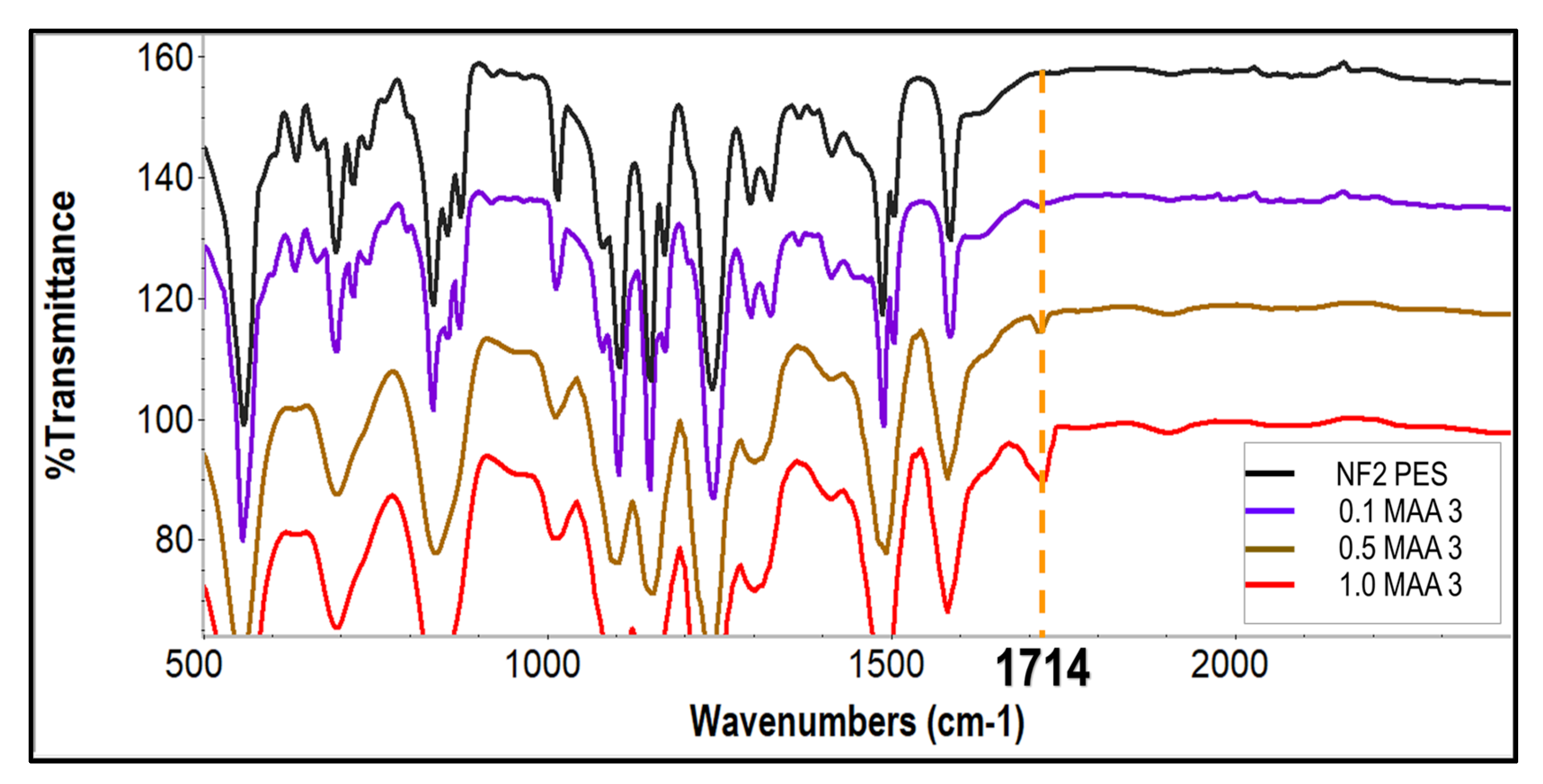 Membranes 13 00232 g004