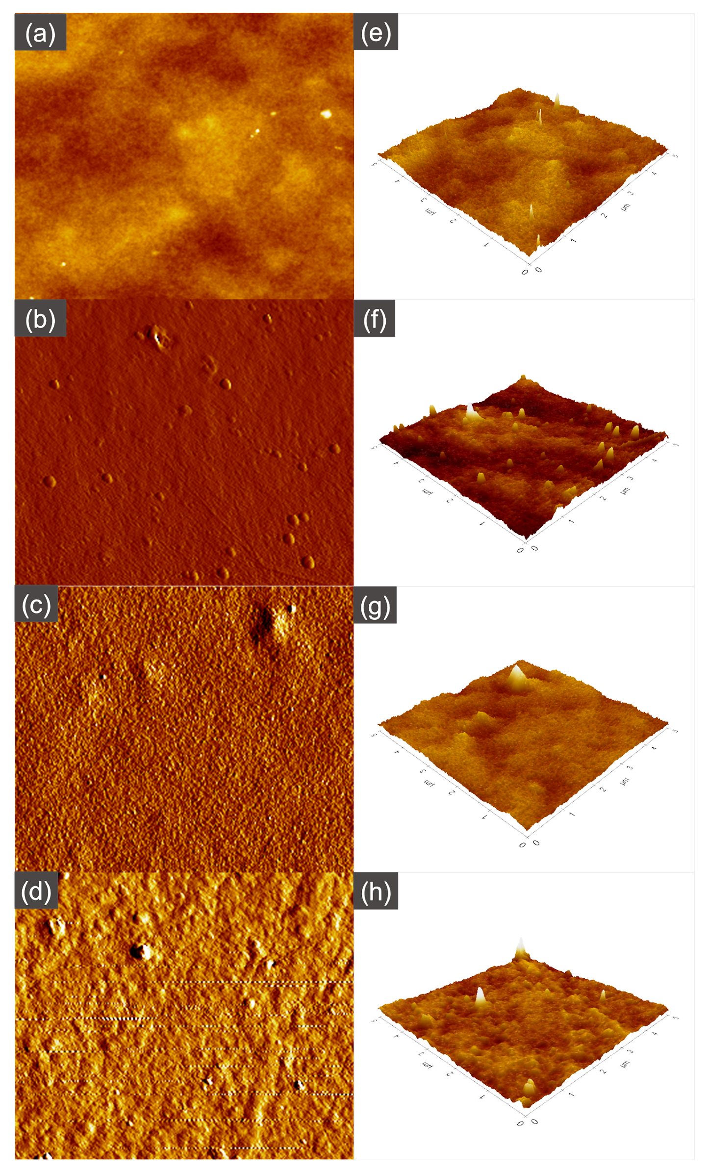 Membranes 13 00232 g008