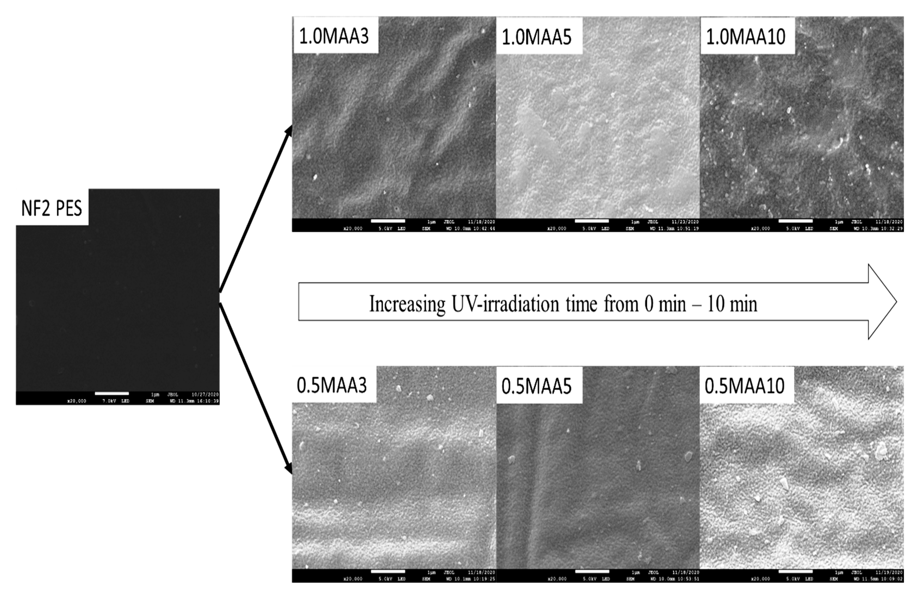 Membranes 13 00232 g011