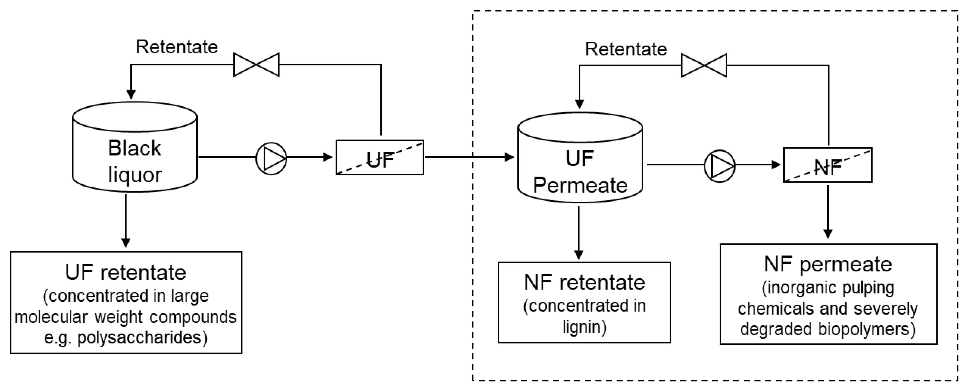Membranes 13 00237 g001