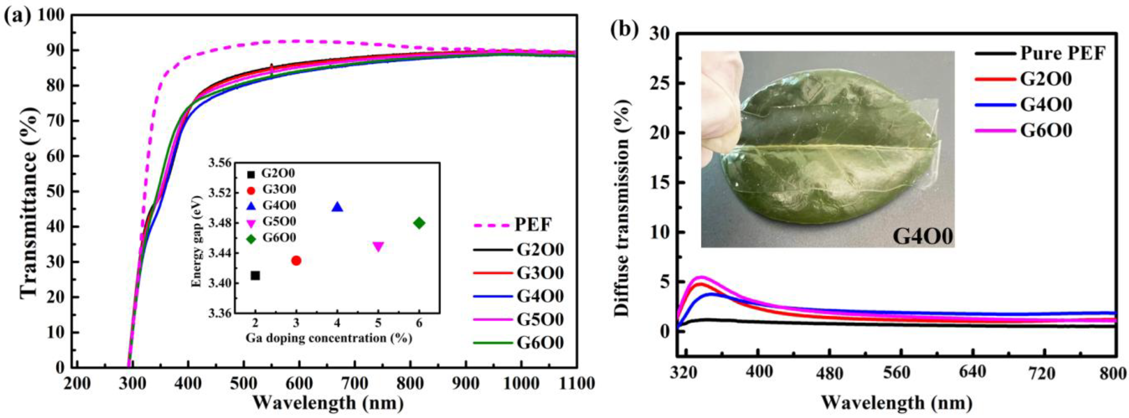 Membranes 13 00239 g001 Membranes 13 00239 g001