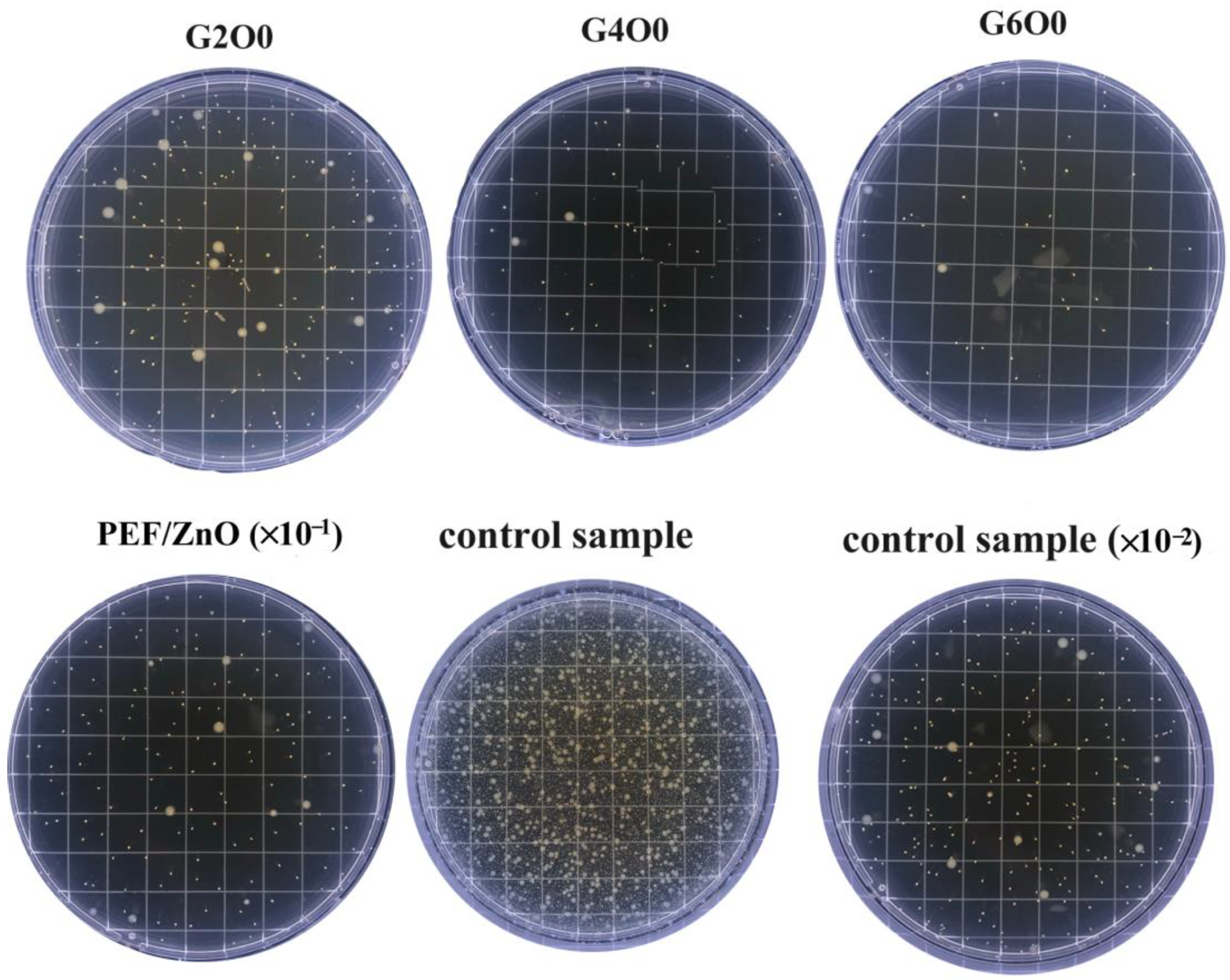 Membranes 13 00239 g005 Membranes 13 00239 g005