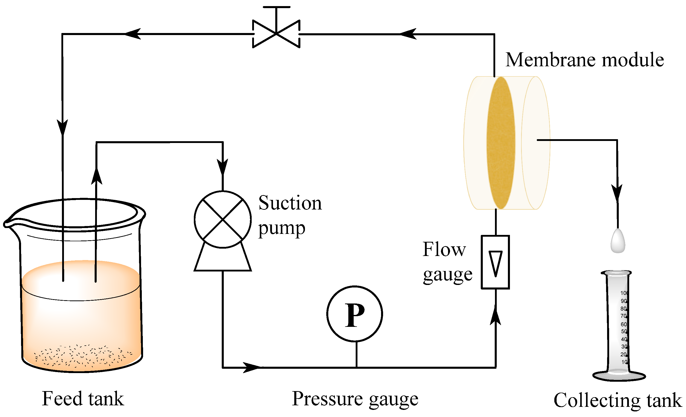 Membranes 13 00241 g002 Membranes 13 00241 g002