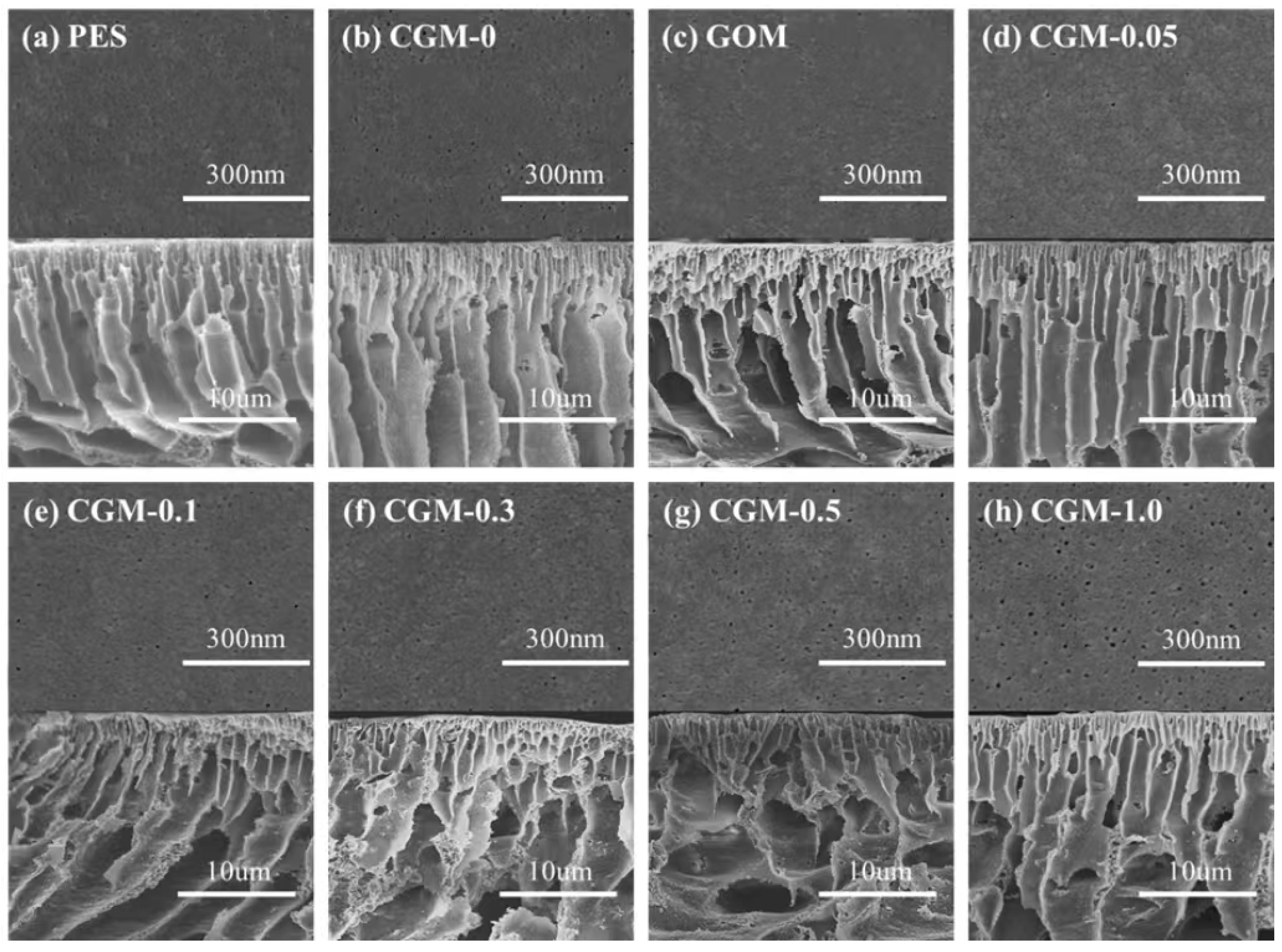Membranes 13 00241 g006 Membranes 13 00241 g006