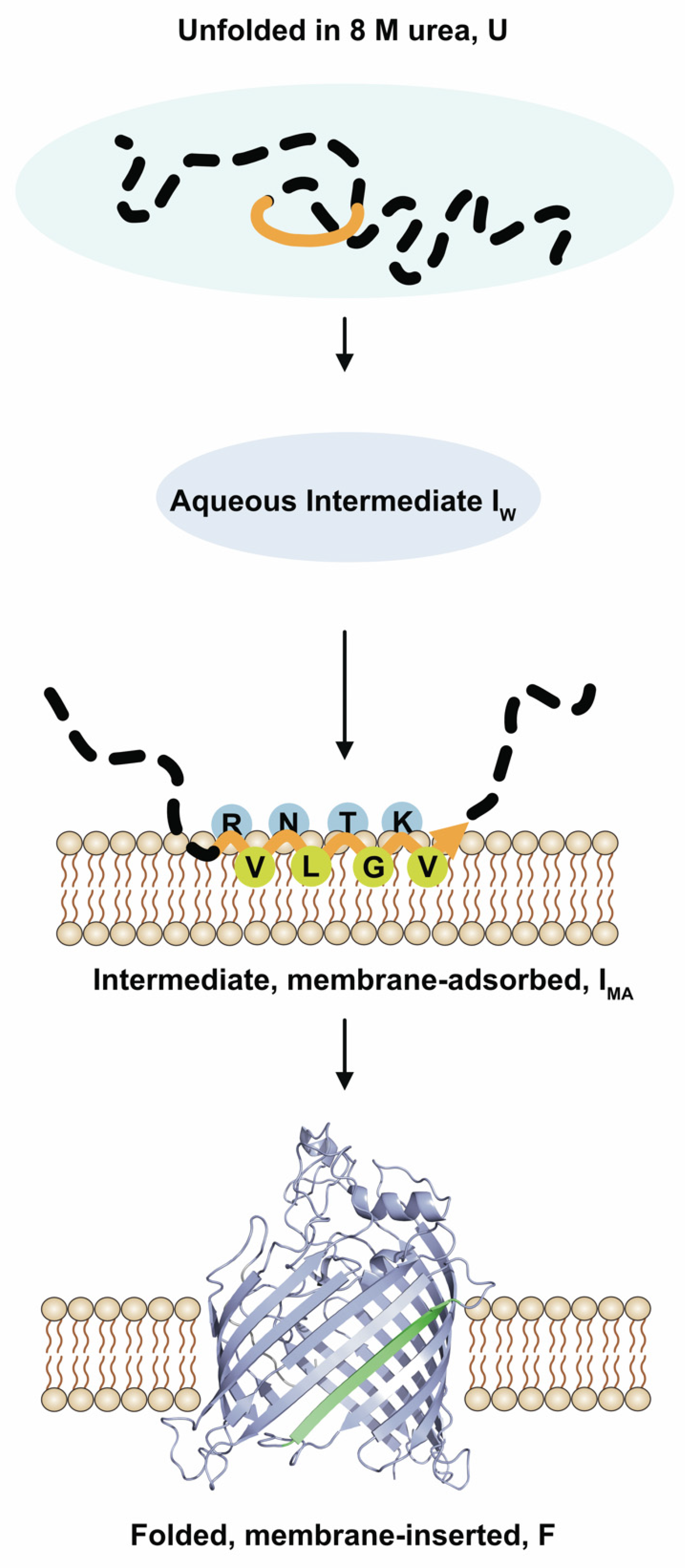 Membranes 13 00247 g006 Membranes 13 00247 g006