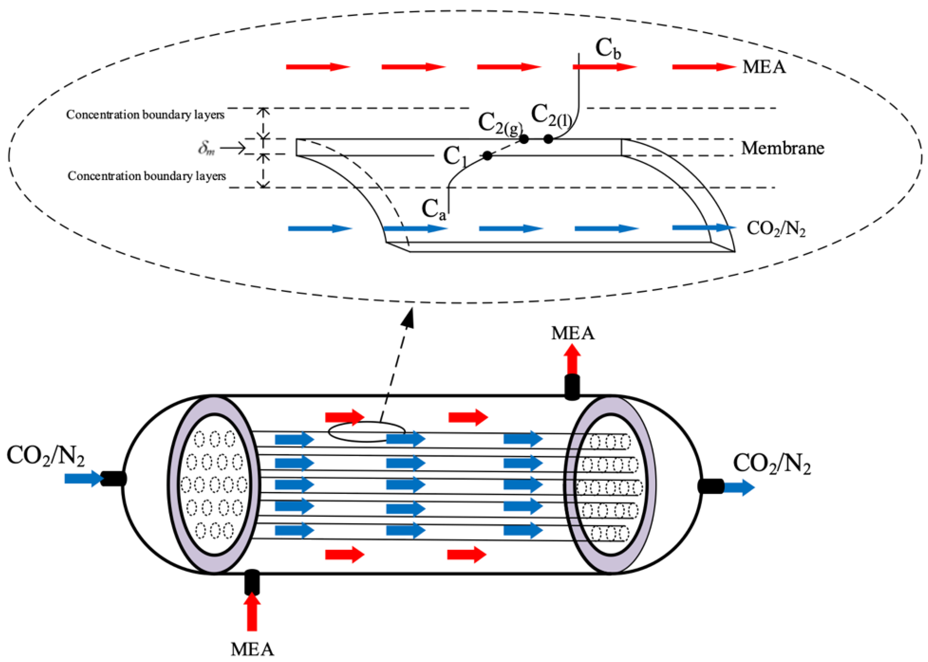 Membranes 13 00249 g003 Membranes 13 00249 g003